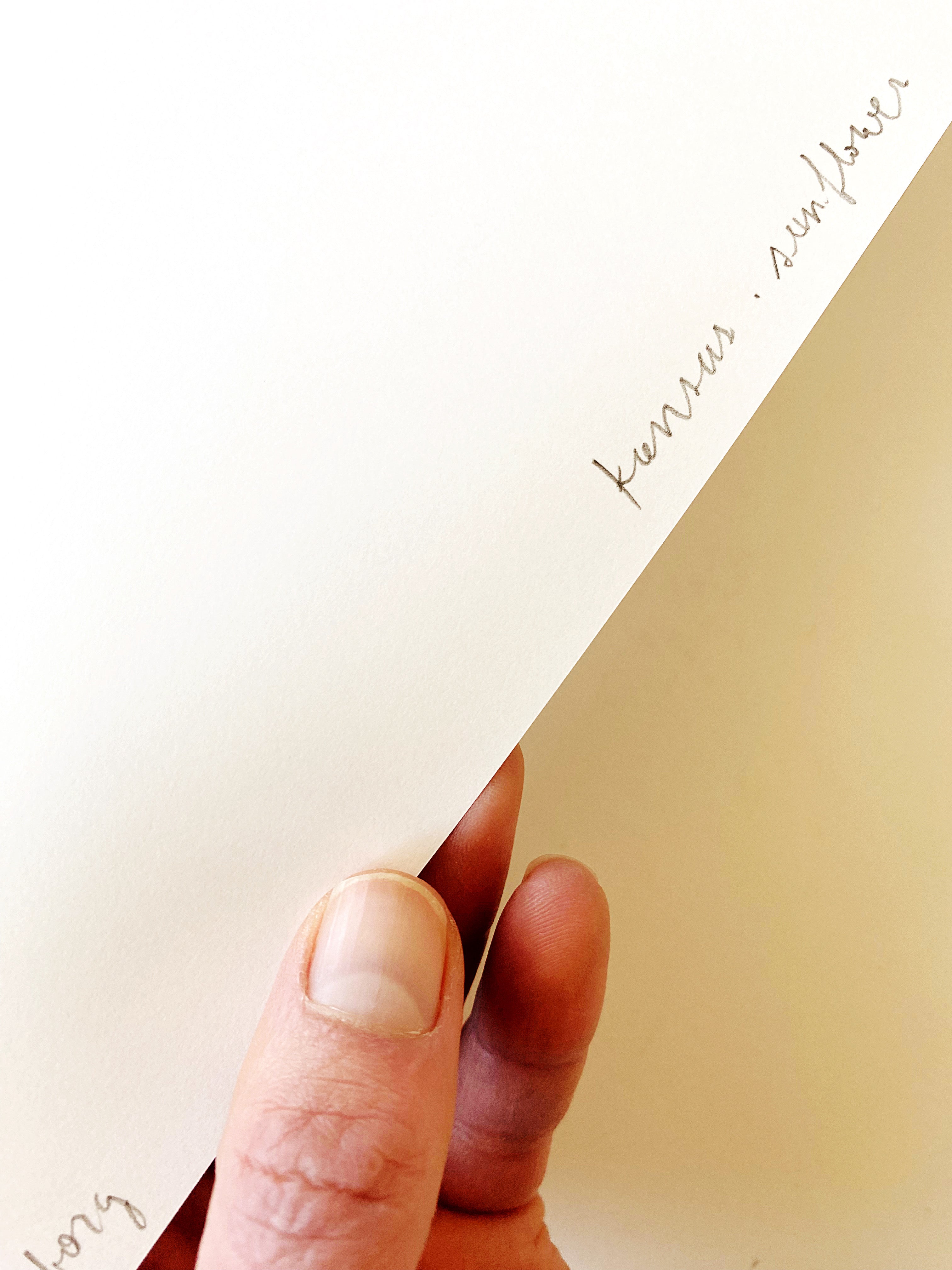 KANSAS State Flower Map: Sunflower: PRINT