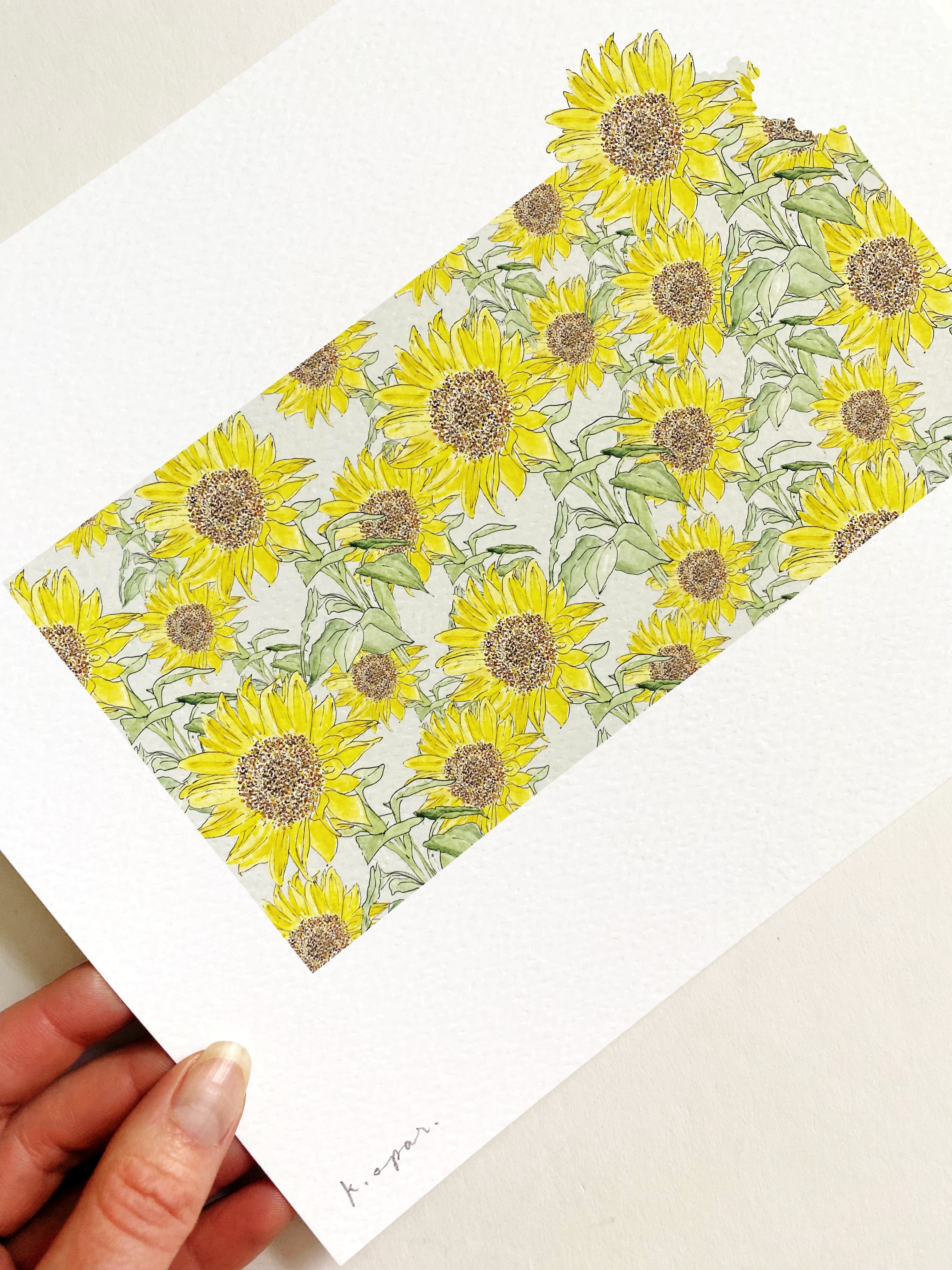 KANSAS State Flower Map: Sunflower: PRINT