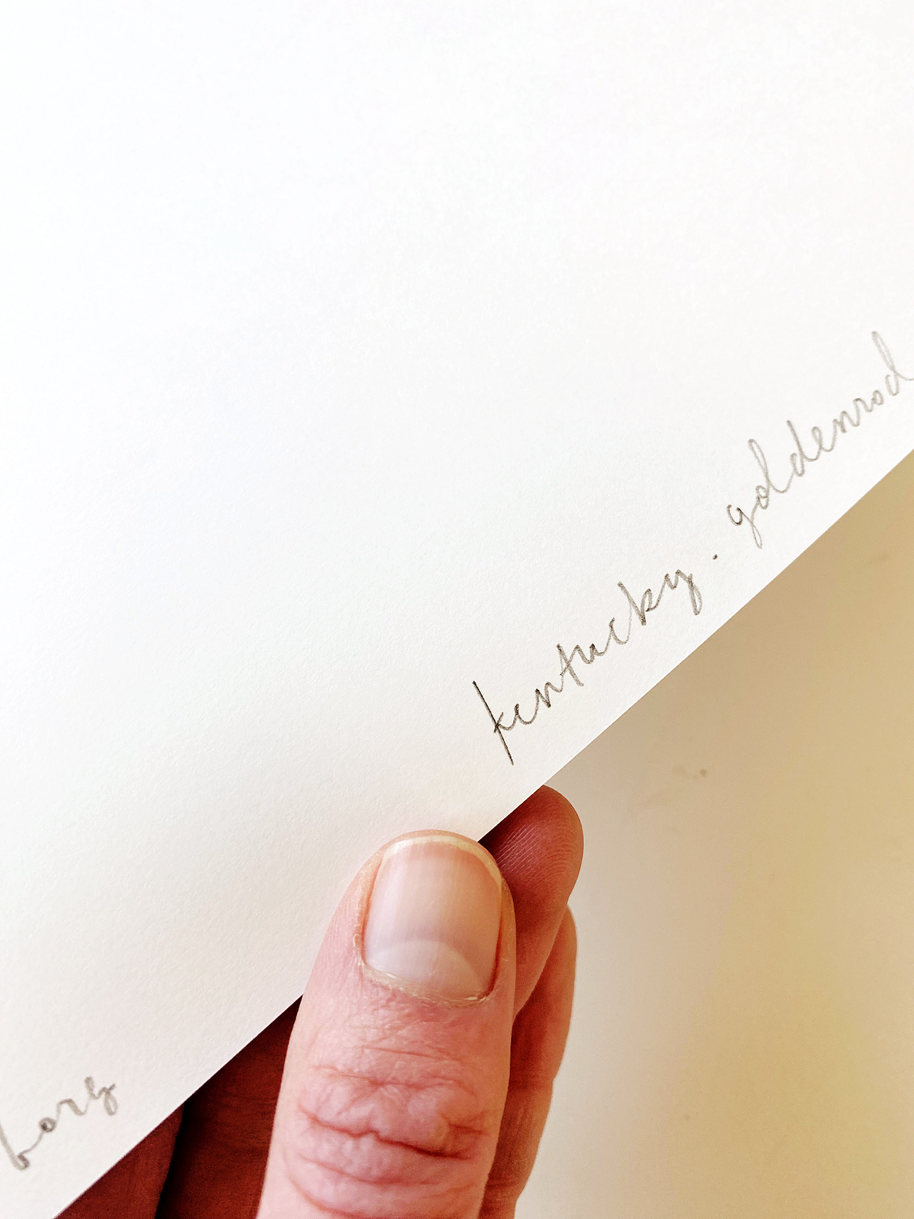 KENTUCKY State Flower Map: Goldenrod: PRINT