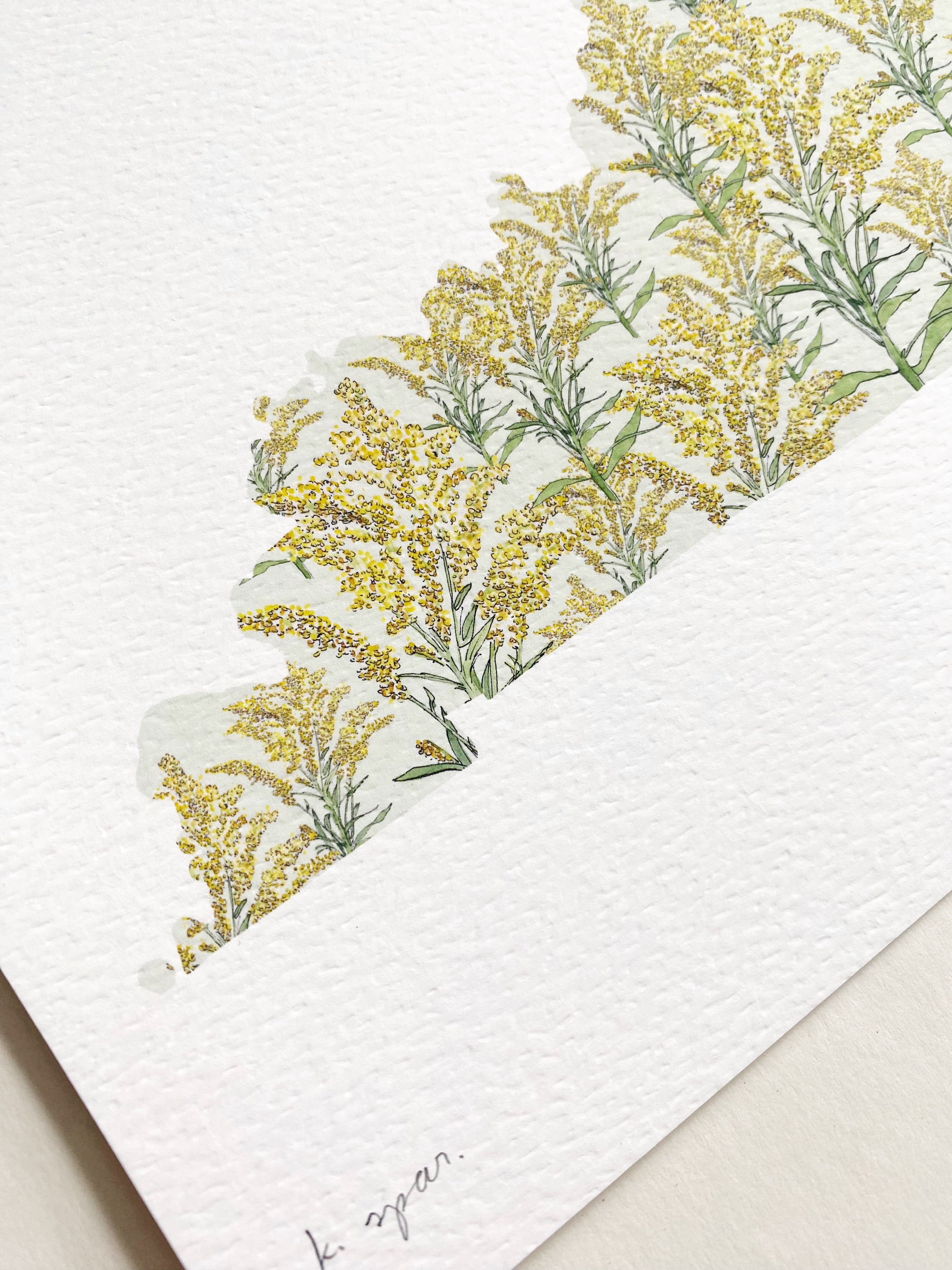 KENTUCKY State Flower Map: Goldenrod: PRINT
