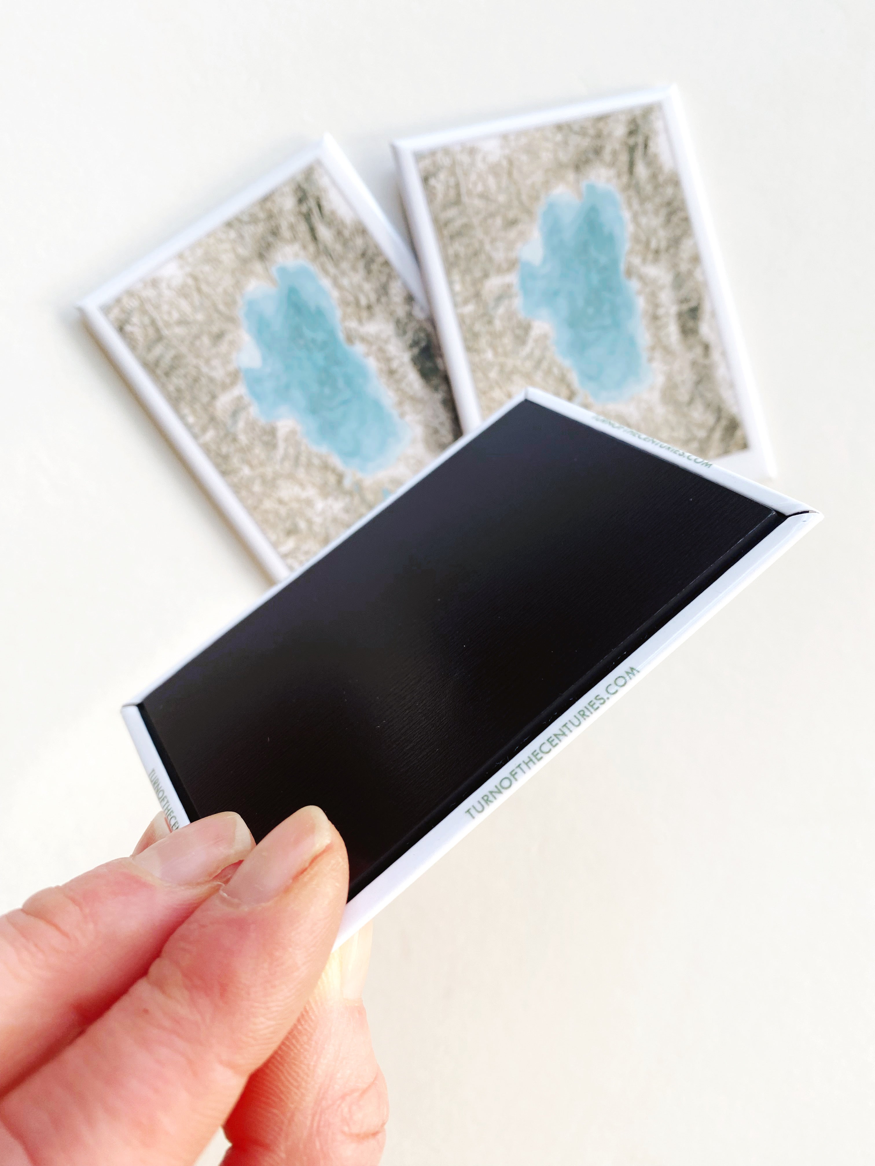 LAKE TAHOE Topographical Art Map: MAGNET