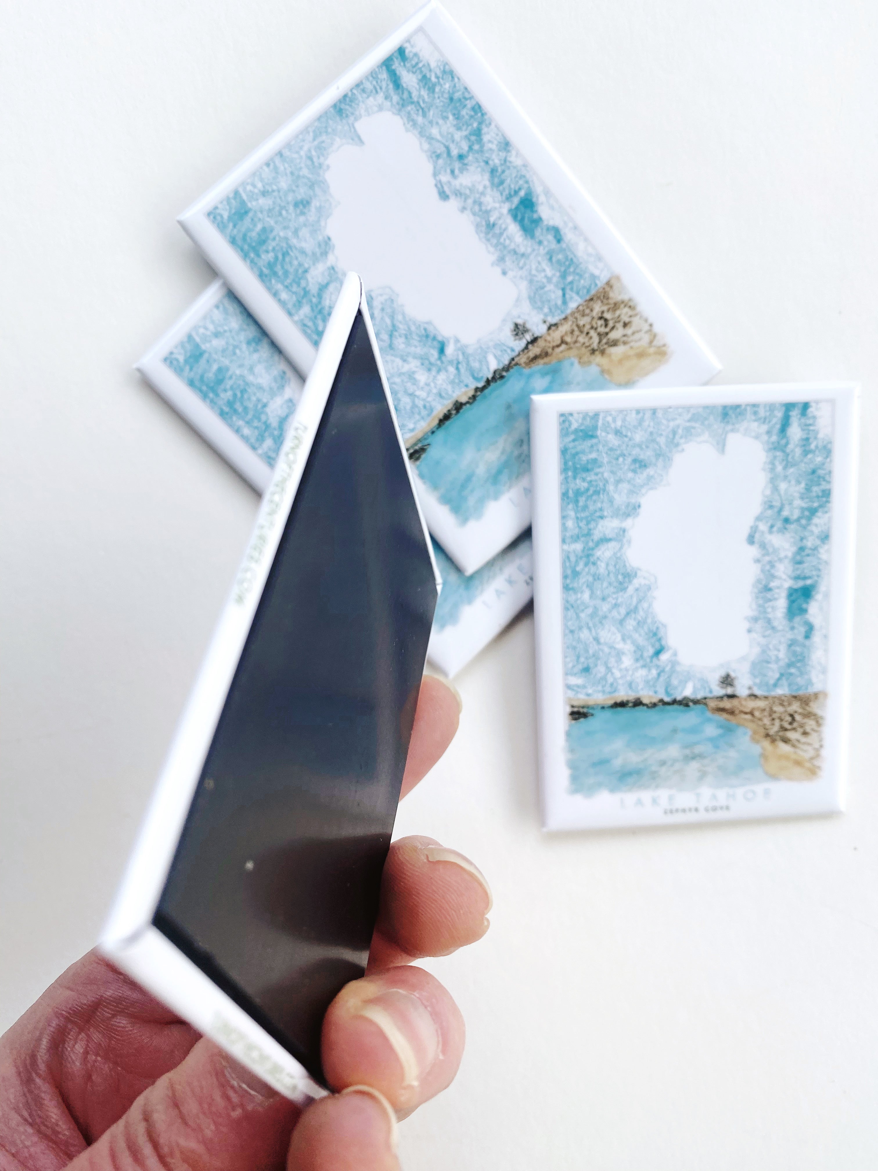 LAKE TAHOE - Zephyr Cove Scene + Topographical Art Map: MAGNET