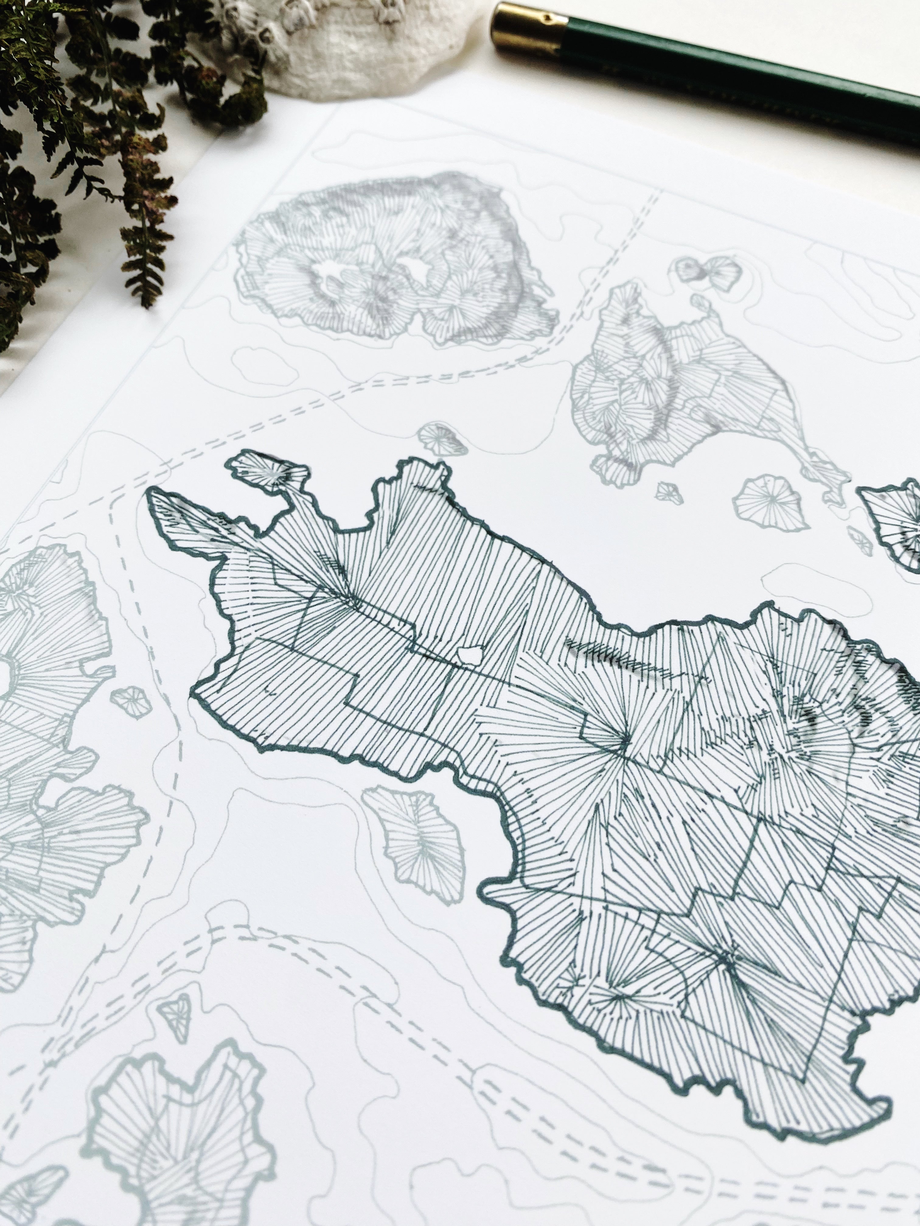 LOPEZ ISLAND San Juan Islands WA Topographic + Bathymetric Map Drawing: PRINT
