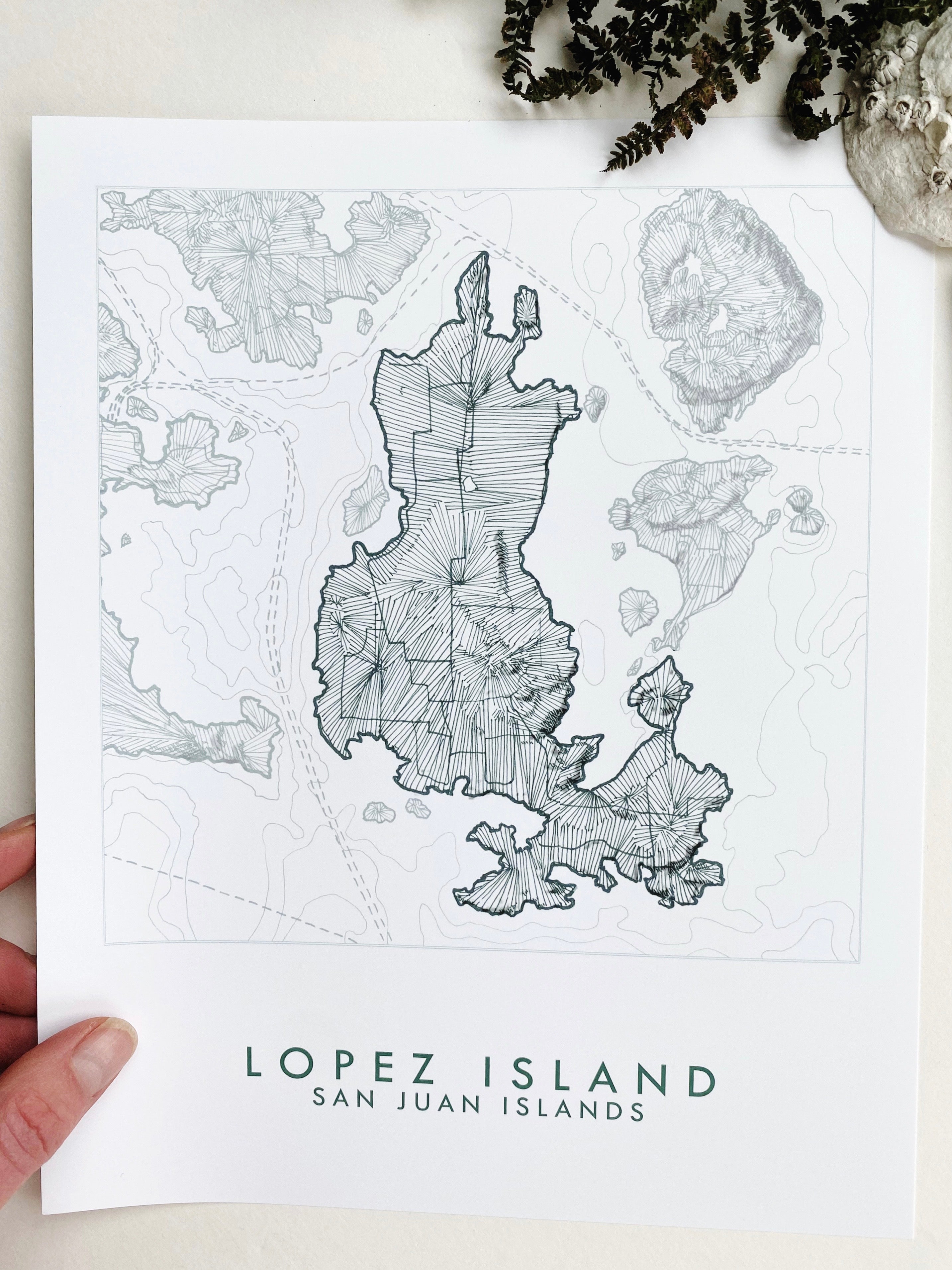 LOPEZ ISLAND San Juan Islands WA Topographic + Bathymetric Map Drawing: PRINT