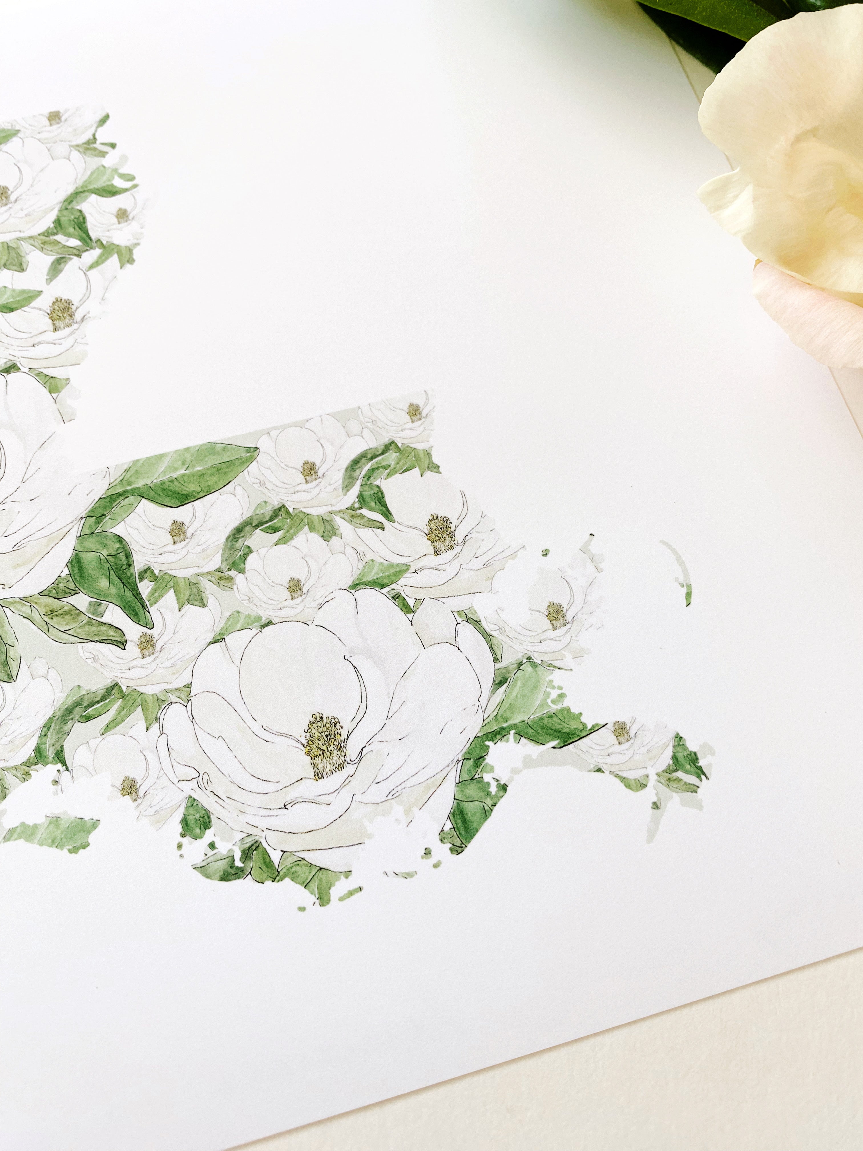 LOUISIANA State Flower Map: Magnolia: PRINT