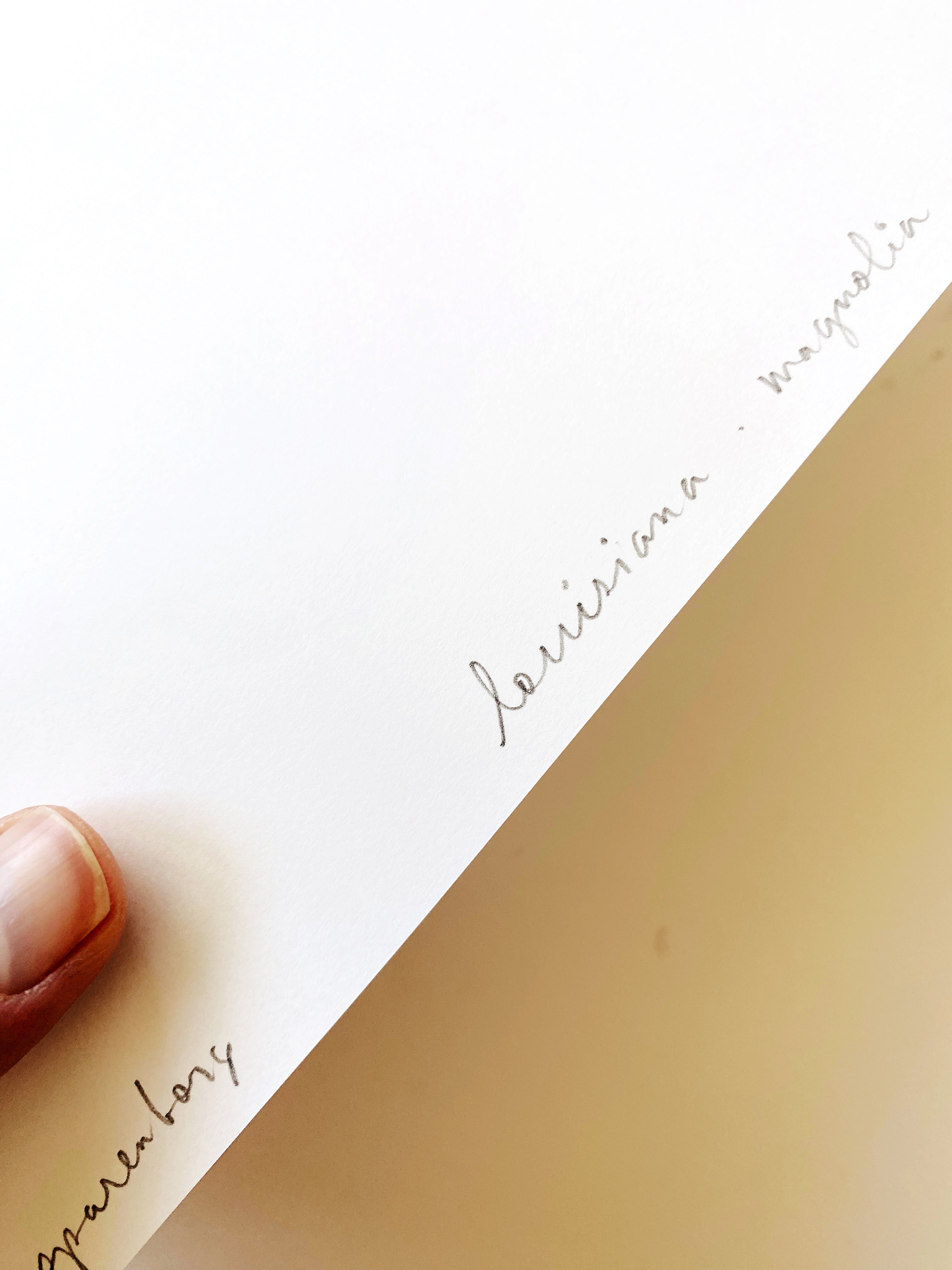 LOUISIANA State Flower Map: Magnolia: PRINT