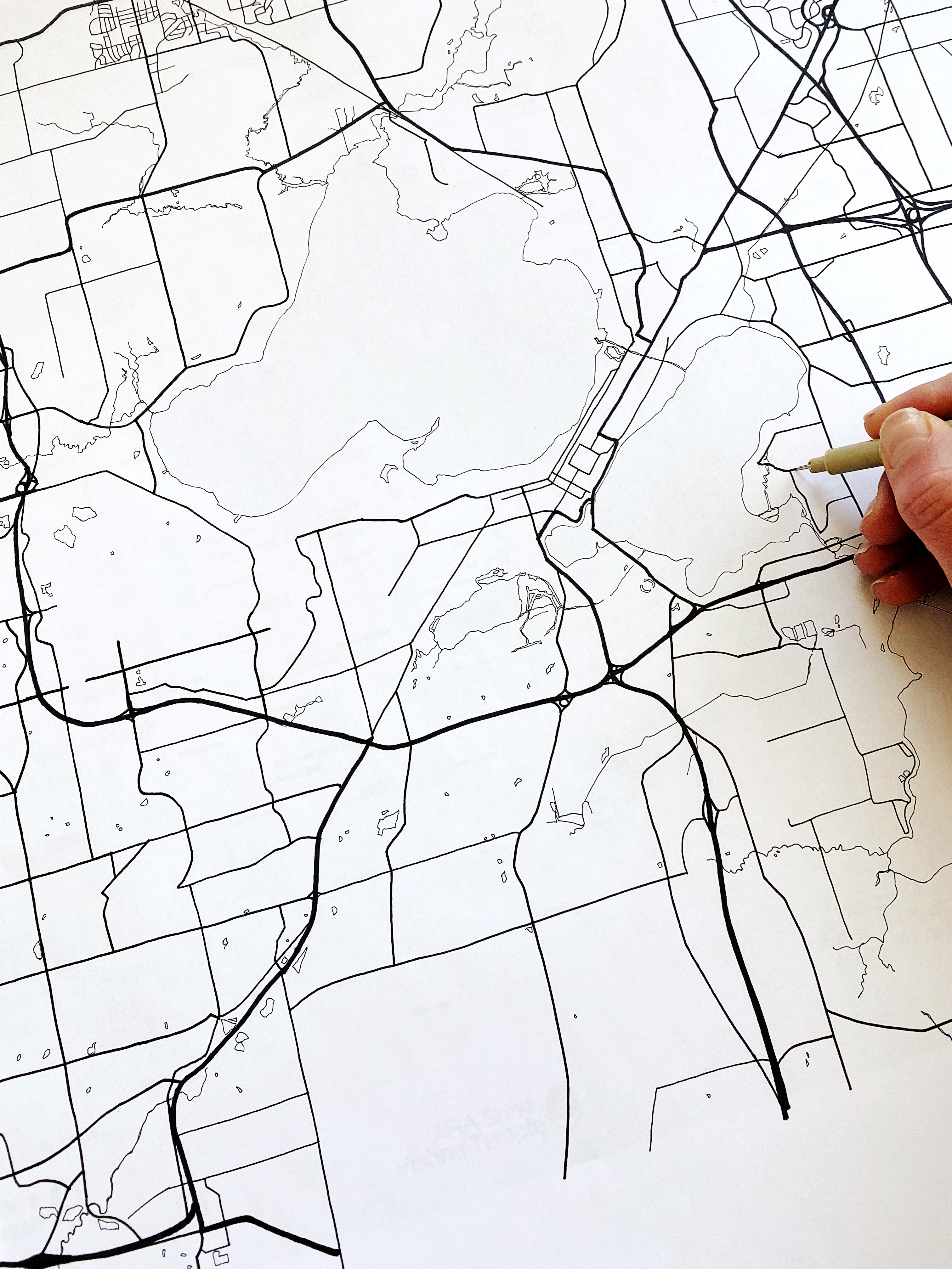 MADISON Wisconsin Urban Fabrics City Map: PRINT