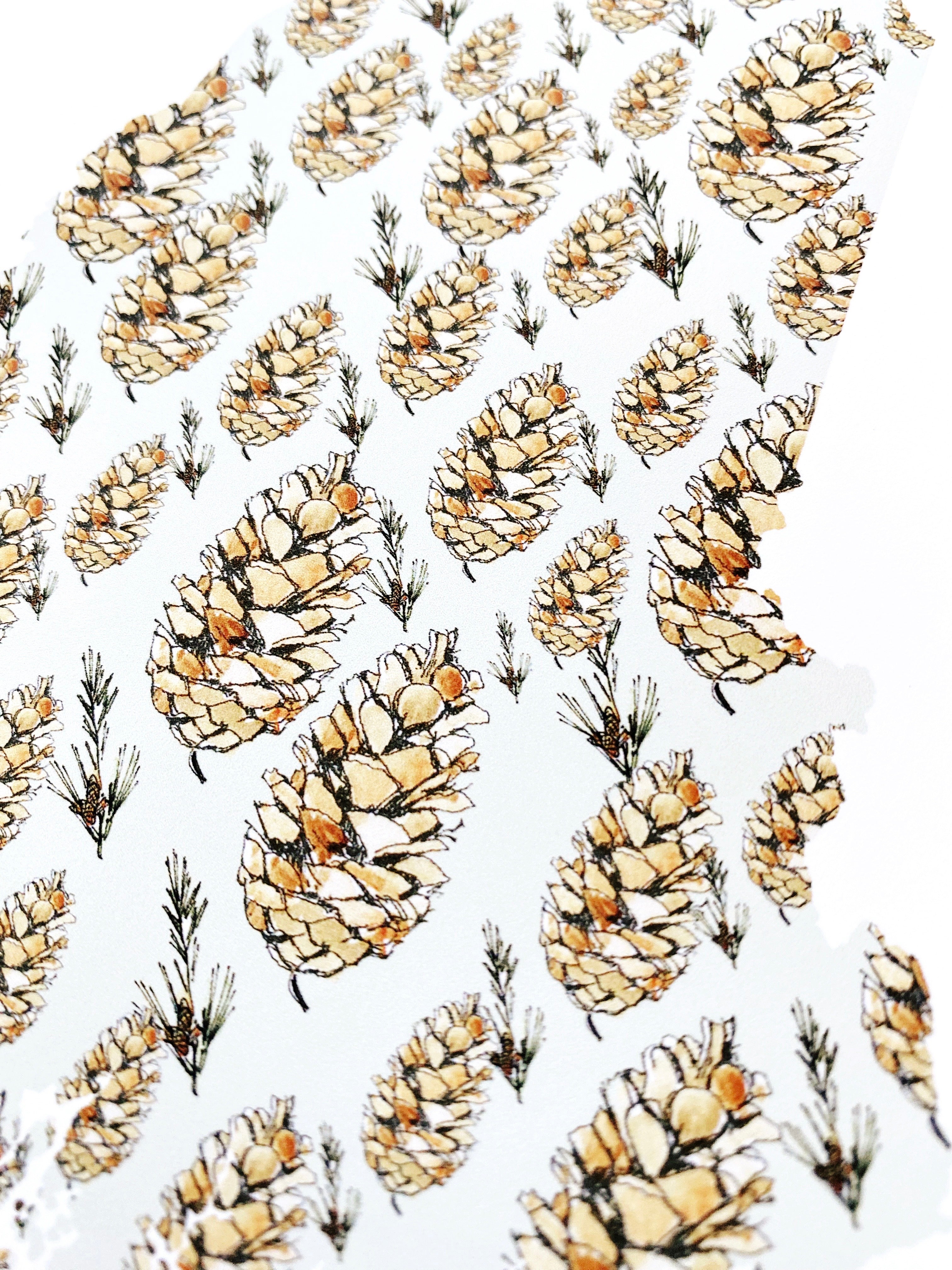 MAINE State Flower Map: White Pine Cone + Tassel: PRINT