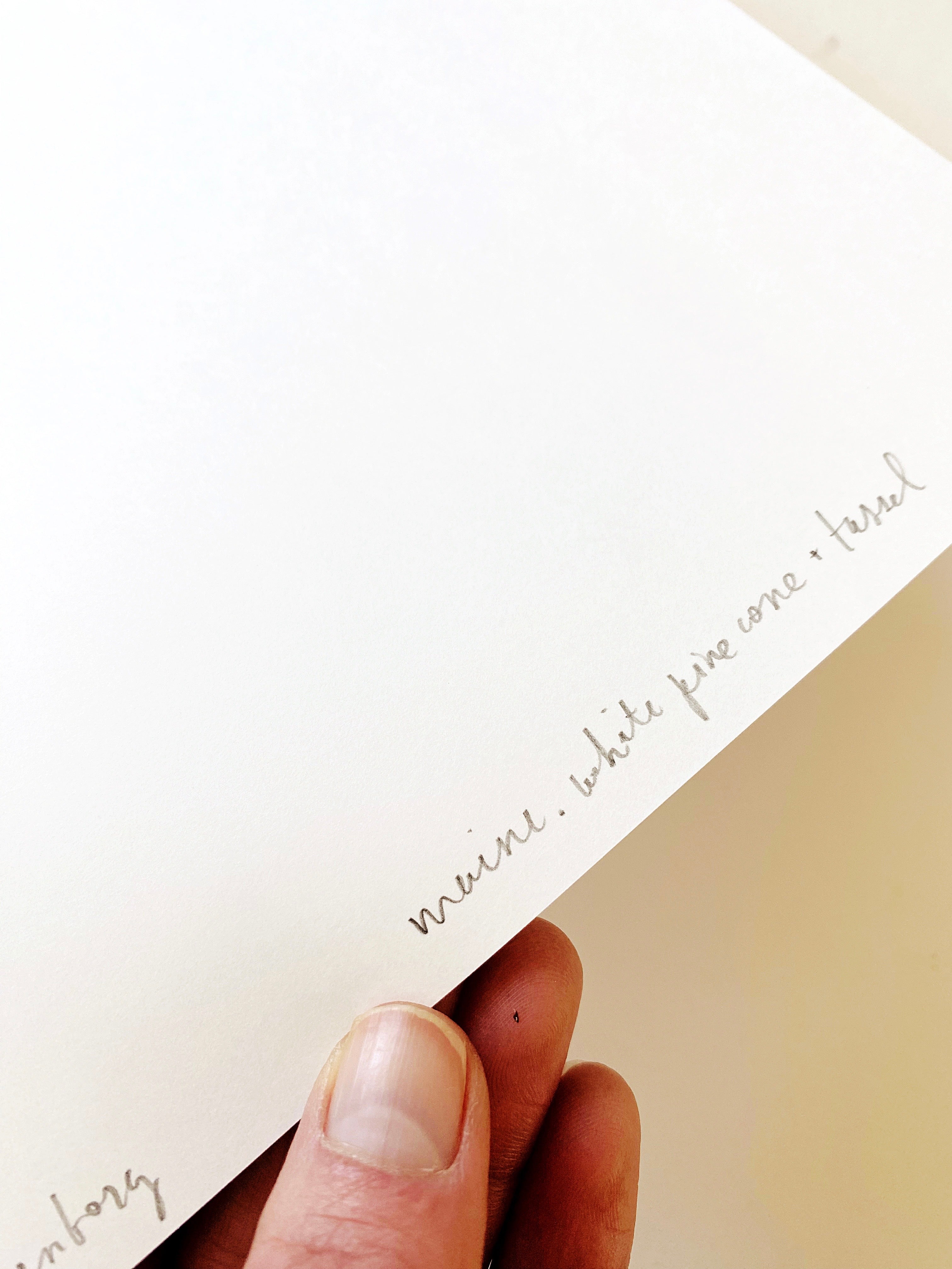 MAINE State Flower Map: White Pine Cone + Tassel: PRINT