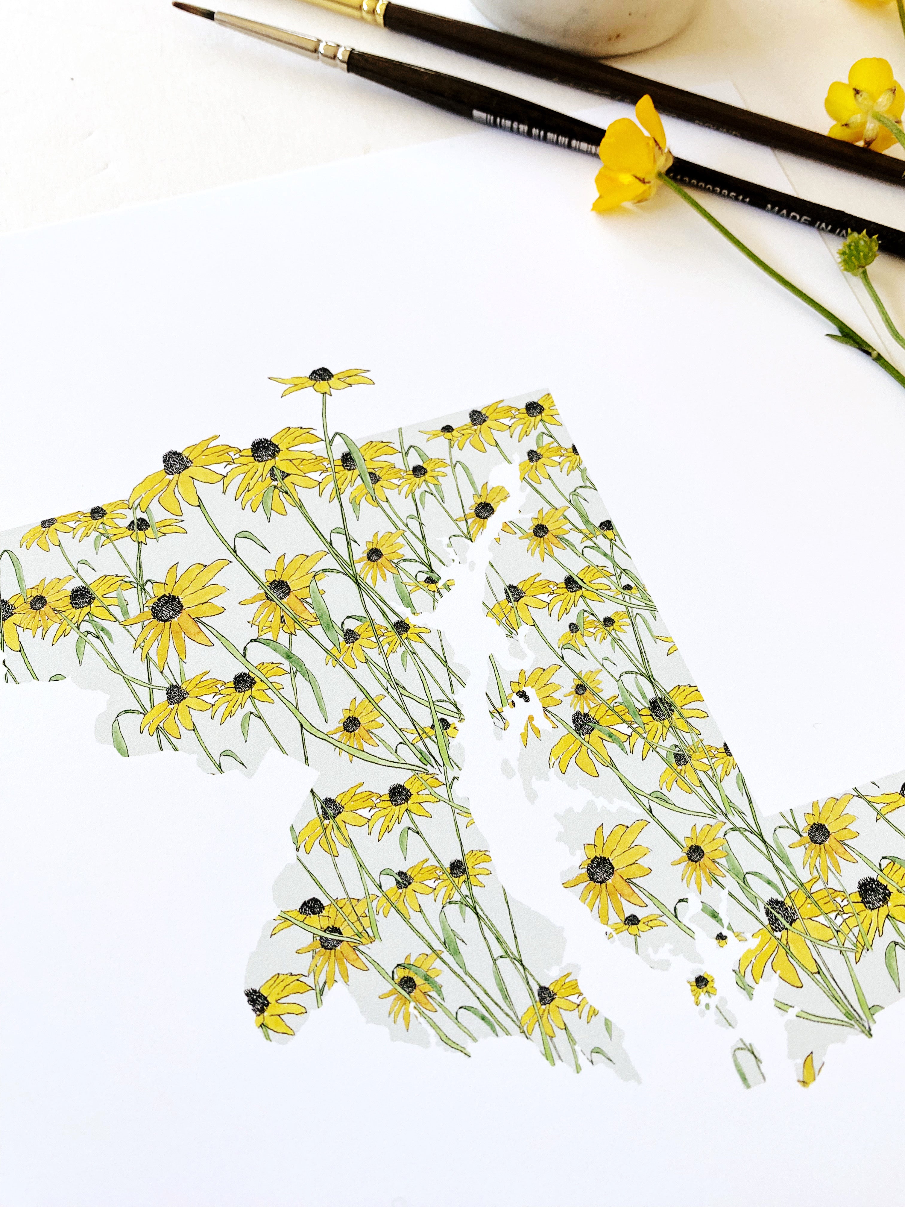 MARYLAND State Flower Map: Black-eyed Susan: PRINT