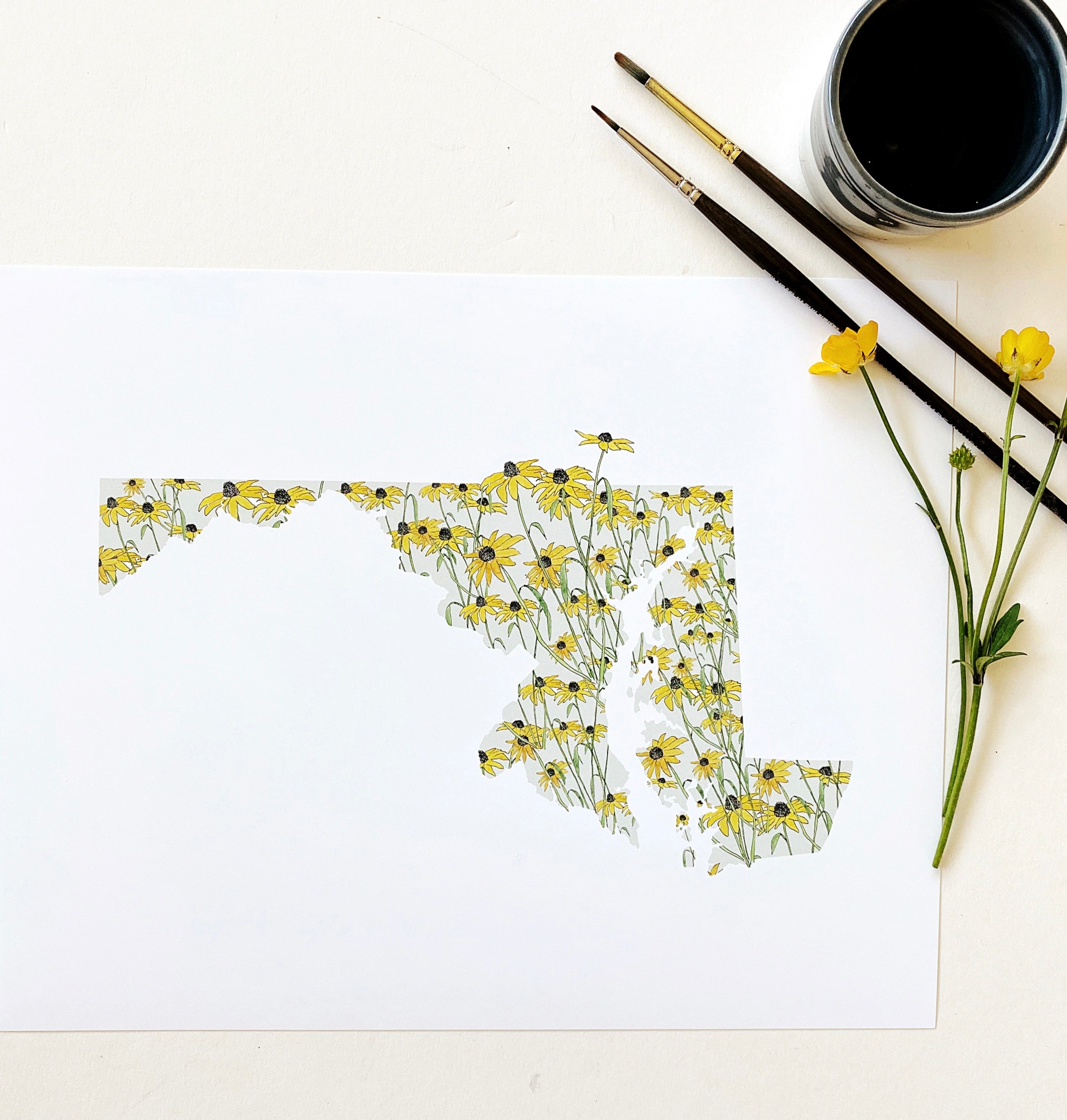 MARYLAND State Flower Map: Black-eyed Susan: PRINT