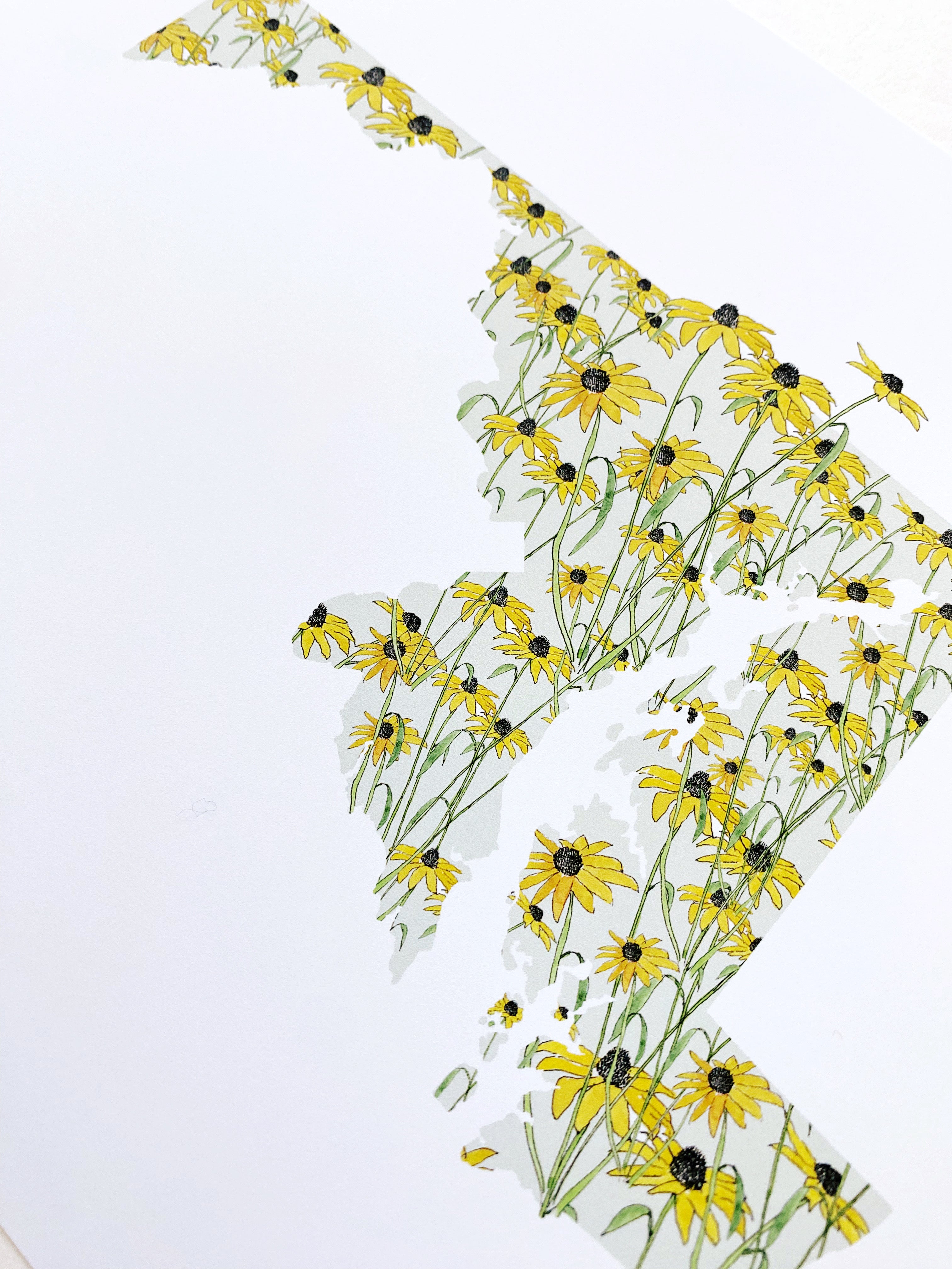 MARYLAND State Flower Map: Black-eyed Susan: PRINT