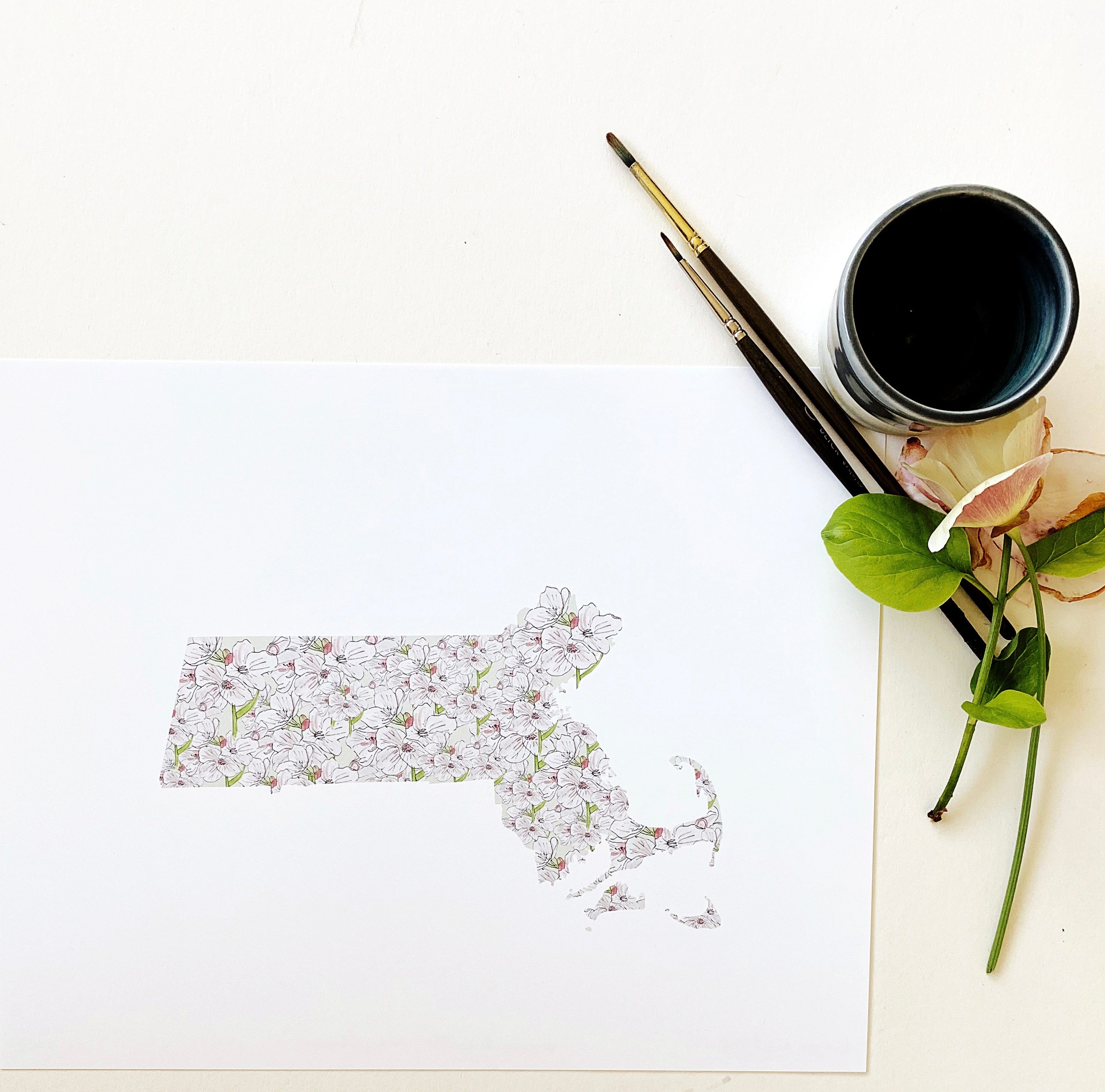 MASSACHUSETTS State Flower Map: Mayflower: PRINT