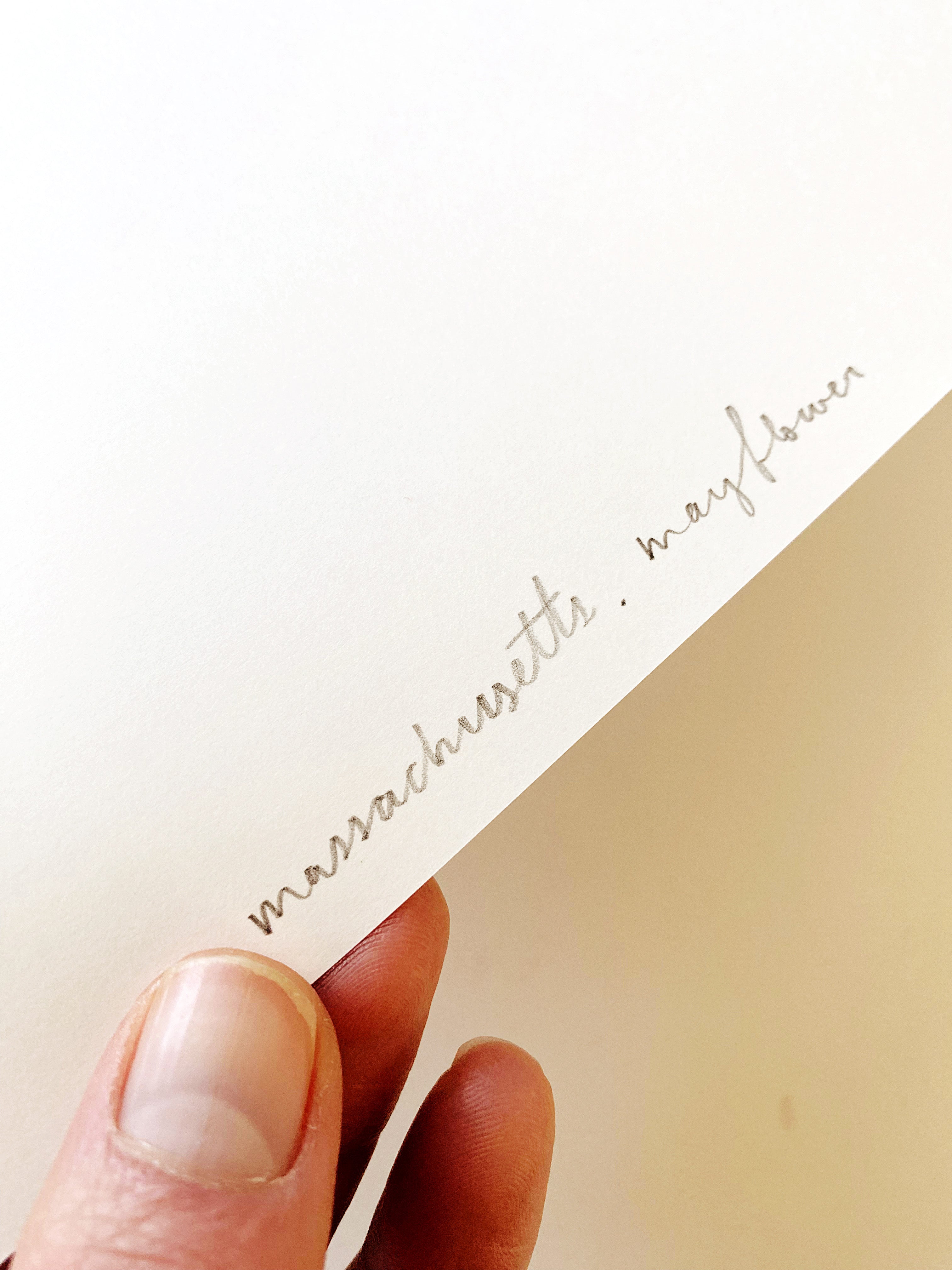 MASSACHUSETTS State Flower Map: Mayflower: PRINT