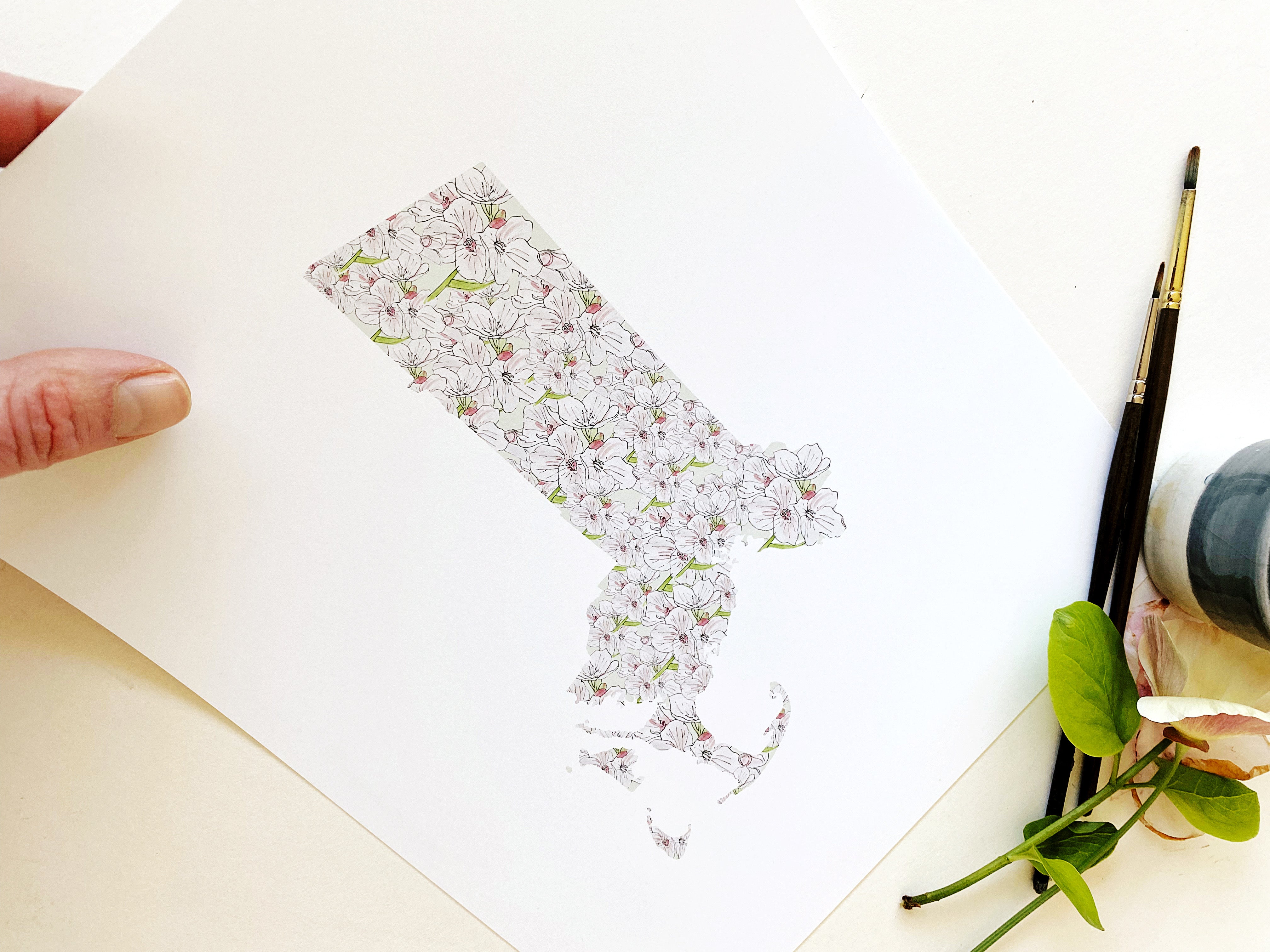 MASSACHUSETTS State Flower Map: Mayflower: PRINT