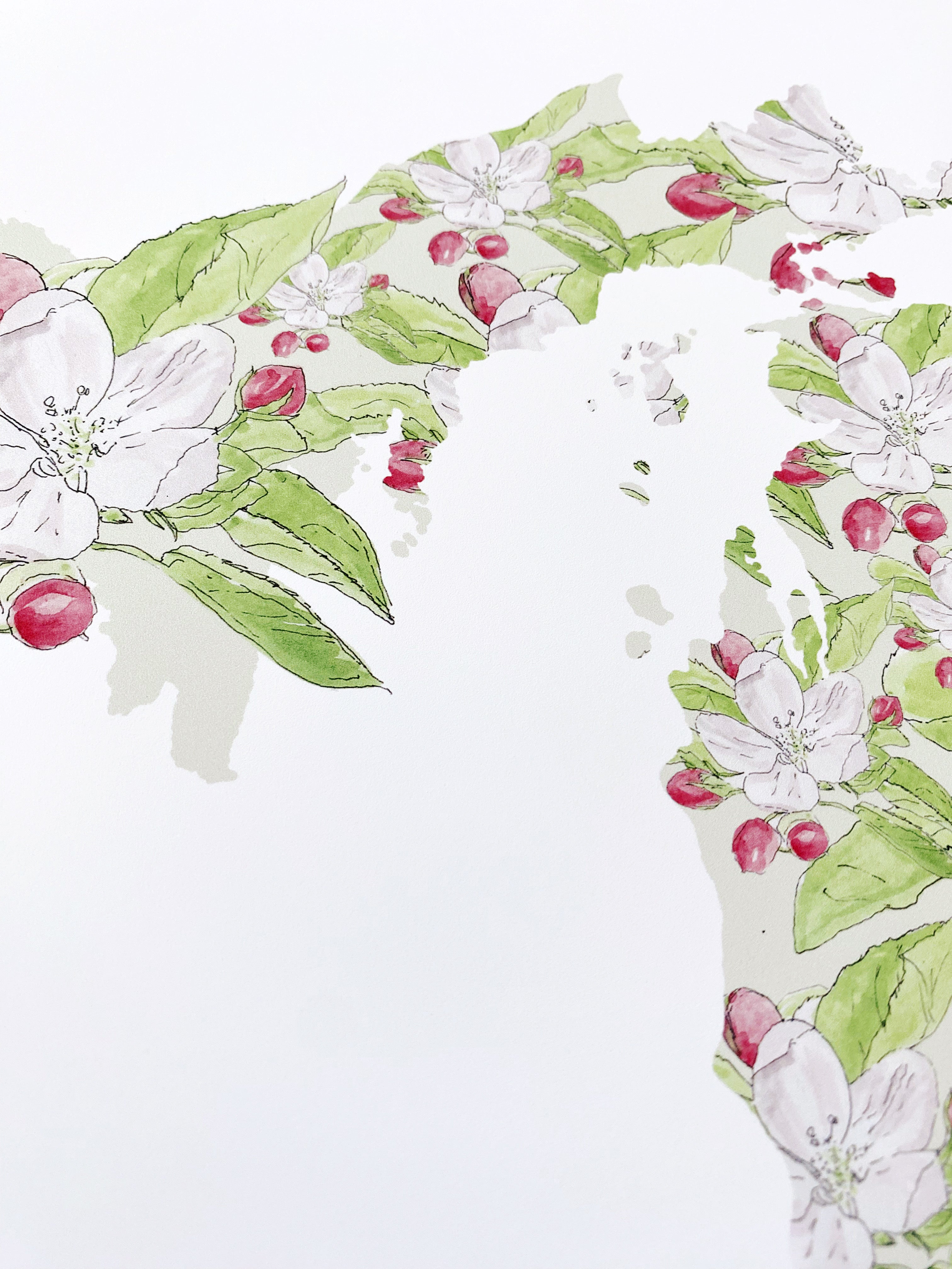 MICHIGAN State Flower Map: Apple Blossom: PRINT