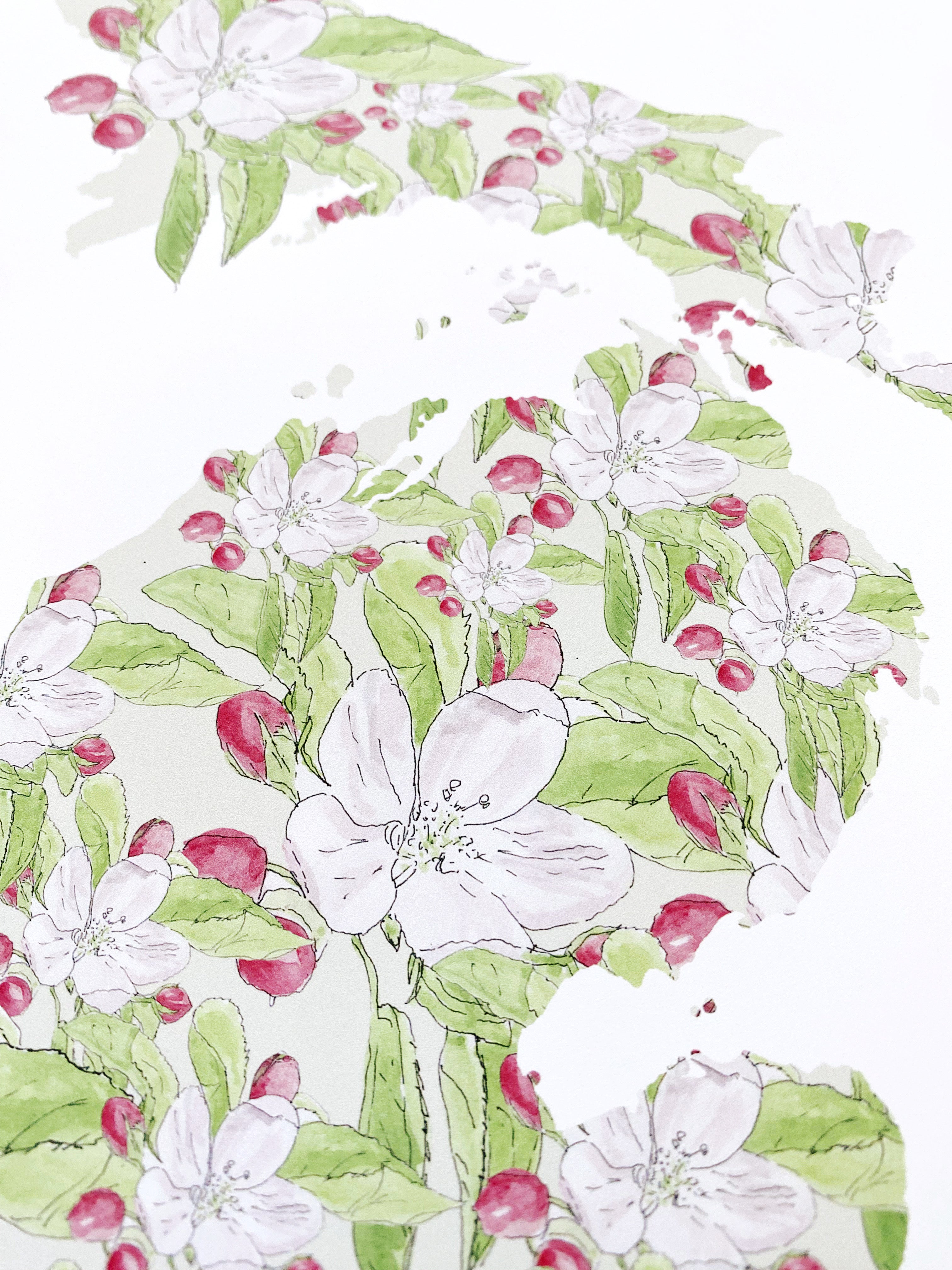 MICHIGAN State Flower Map: Apple Blossom: PRINT