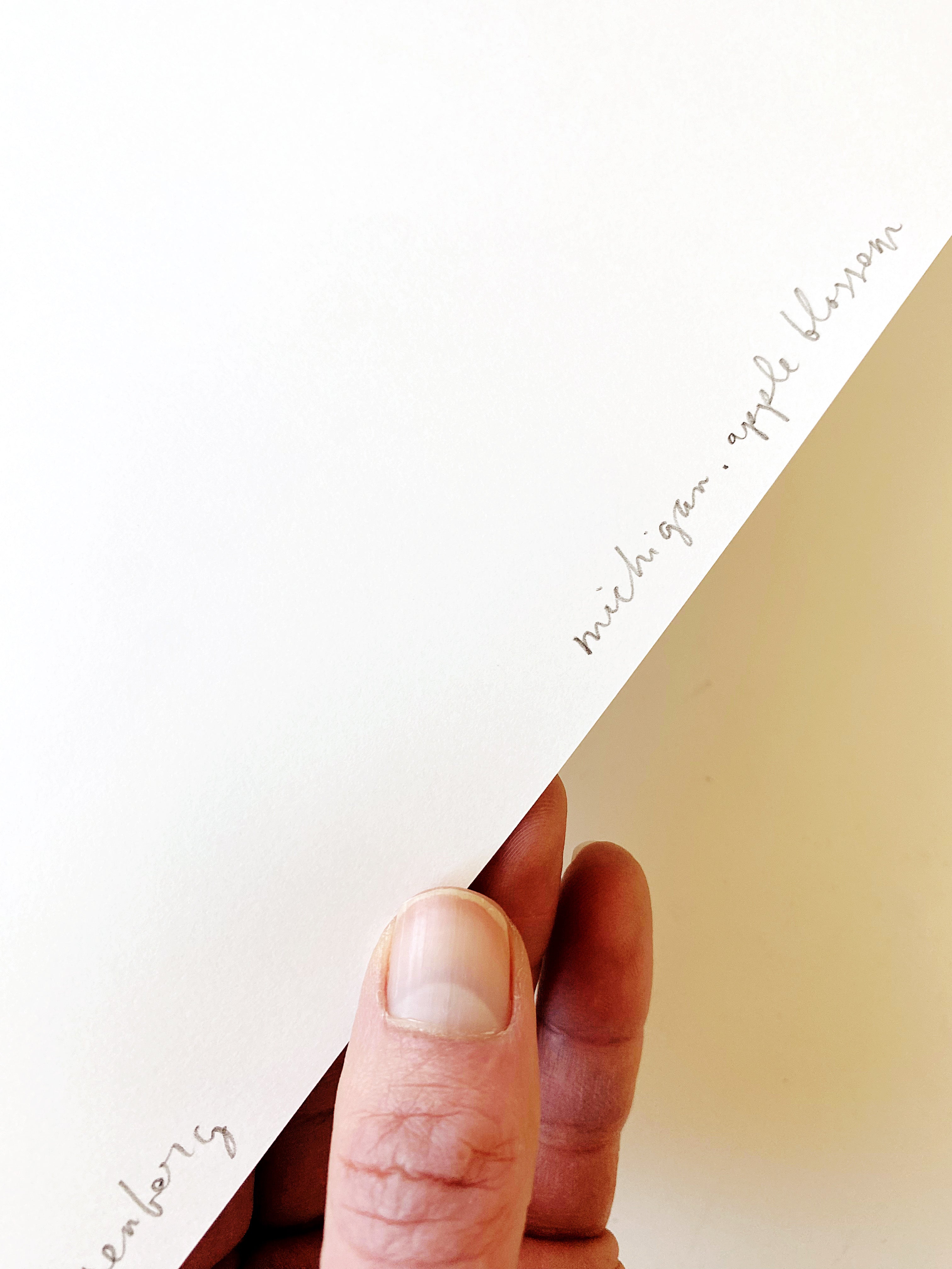 MICHIGAN State Flower Map: Apple Blossom: PRINT