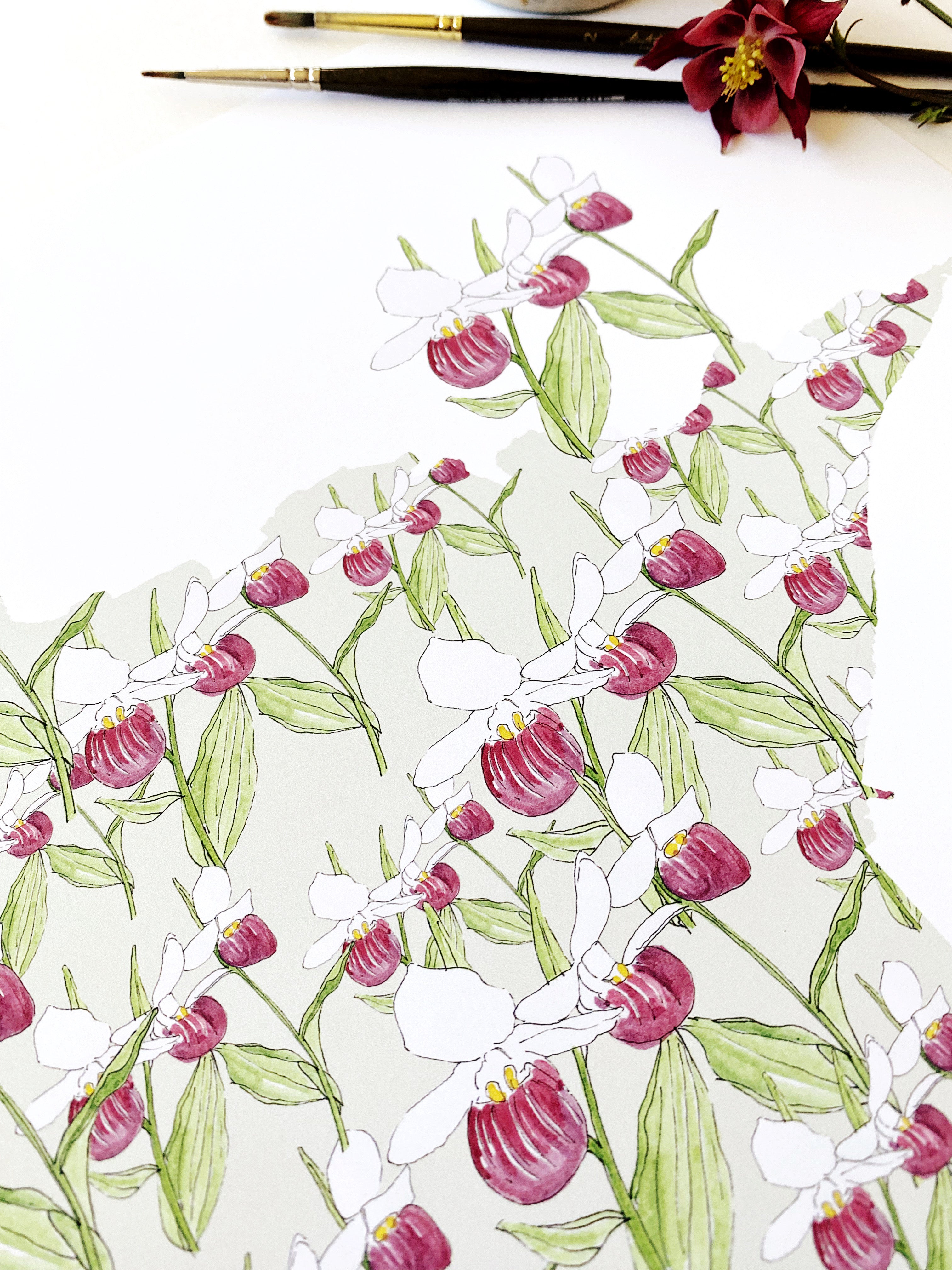 MINNESOTA State Flower Map: Pink White Ladys Slipper: PRINT