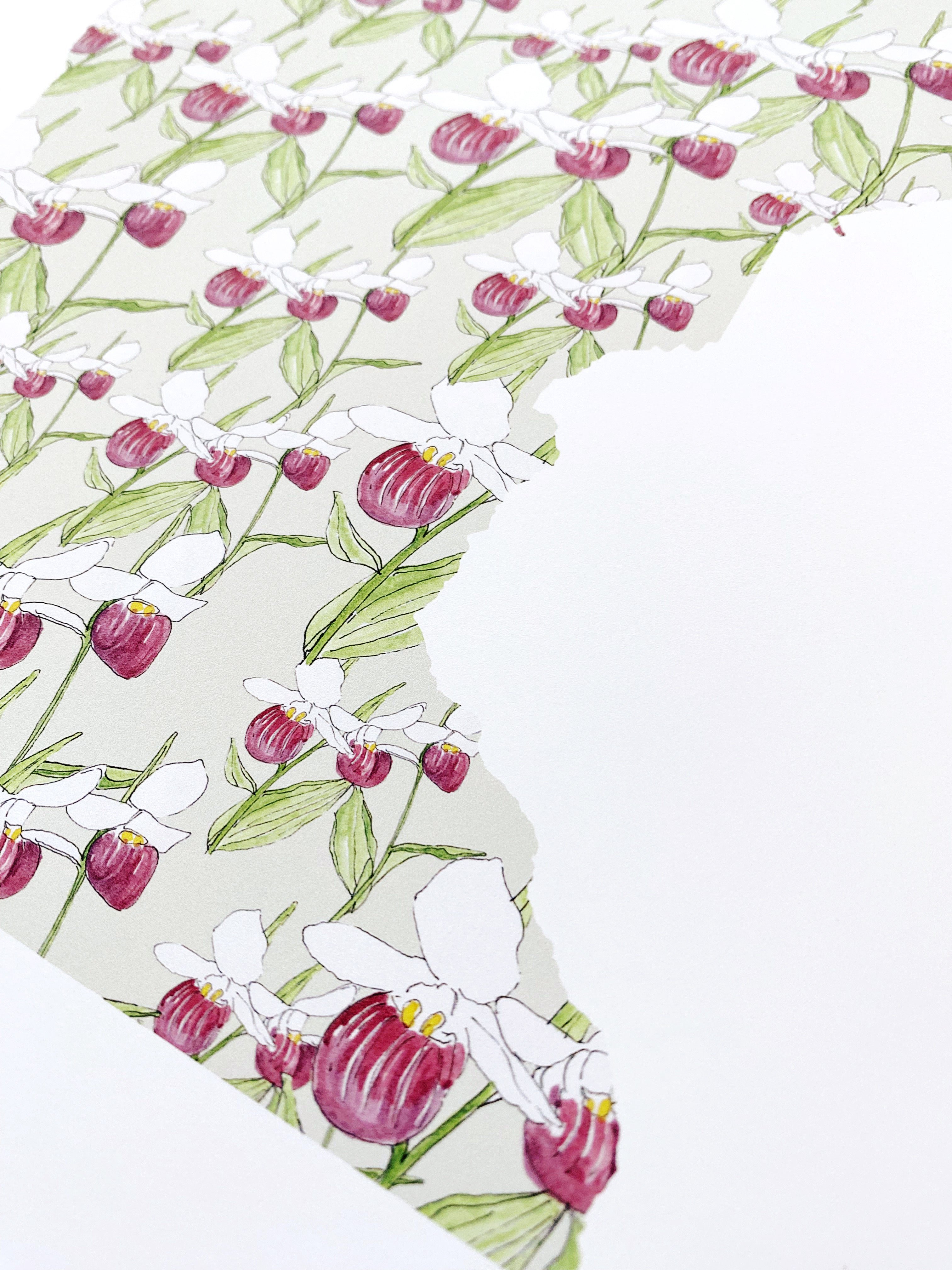 MINNESOTA State Flower Map: Pink White Ladys Slipper: PRINT