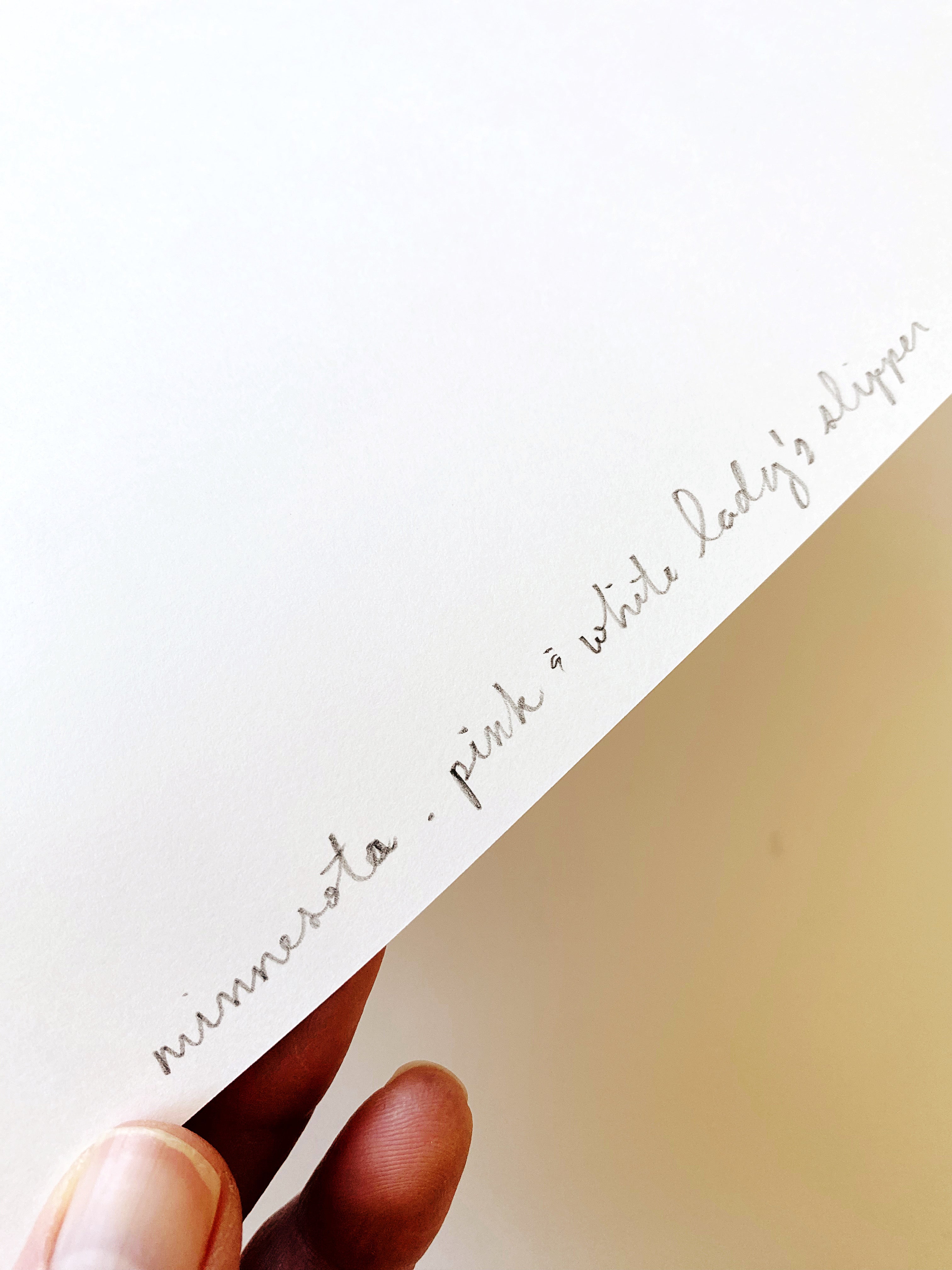 MINNESOTA State Flower Map: Pink White Ladys Slipper: PRINT