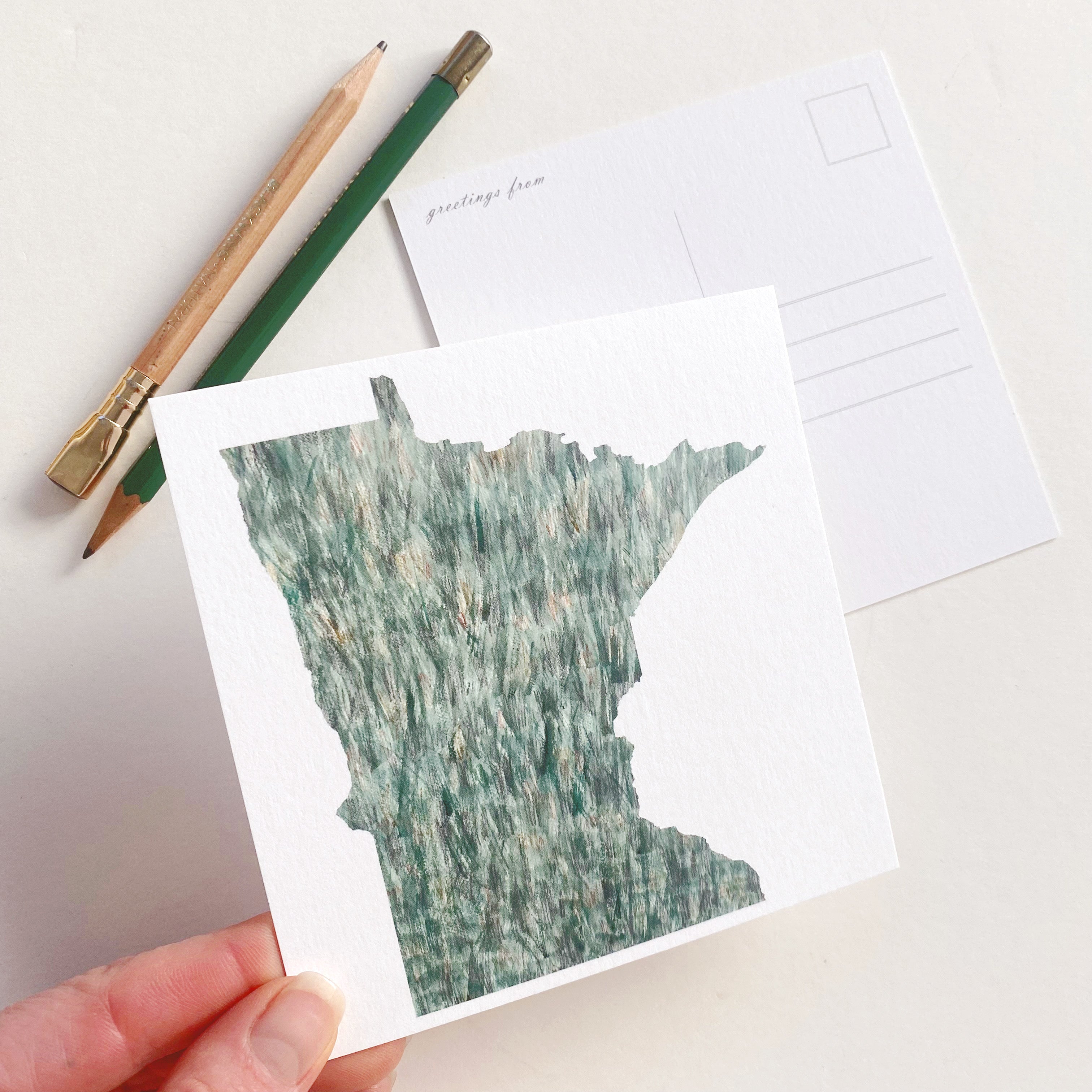 MINNESOTA Painted State Map SQUARE Postcard (grass)