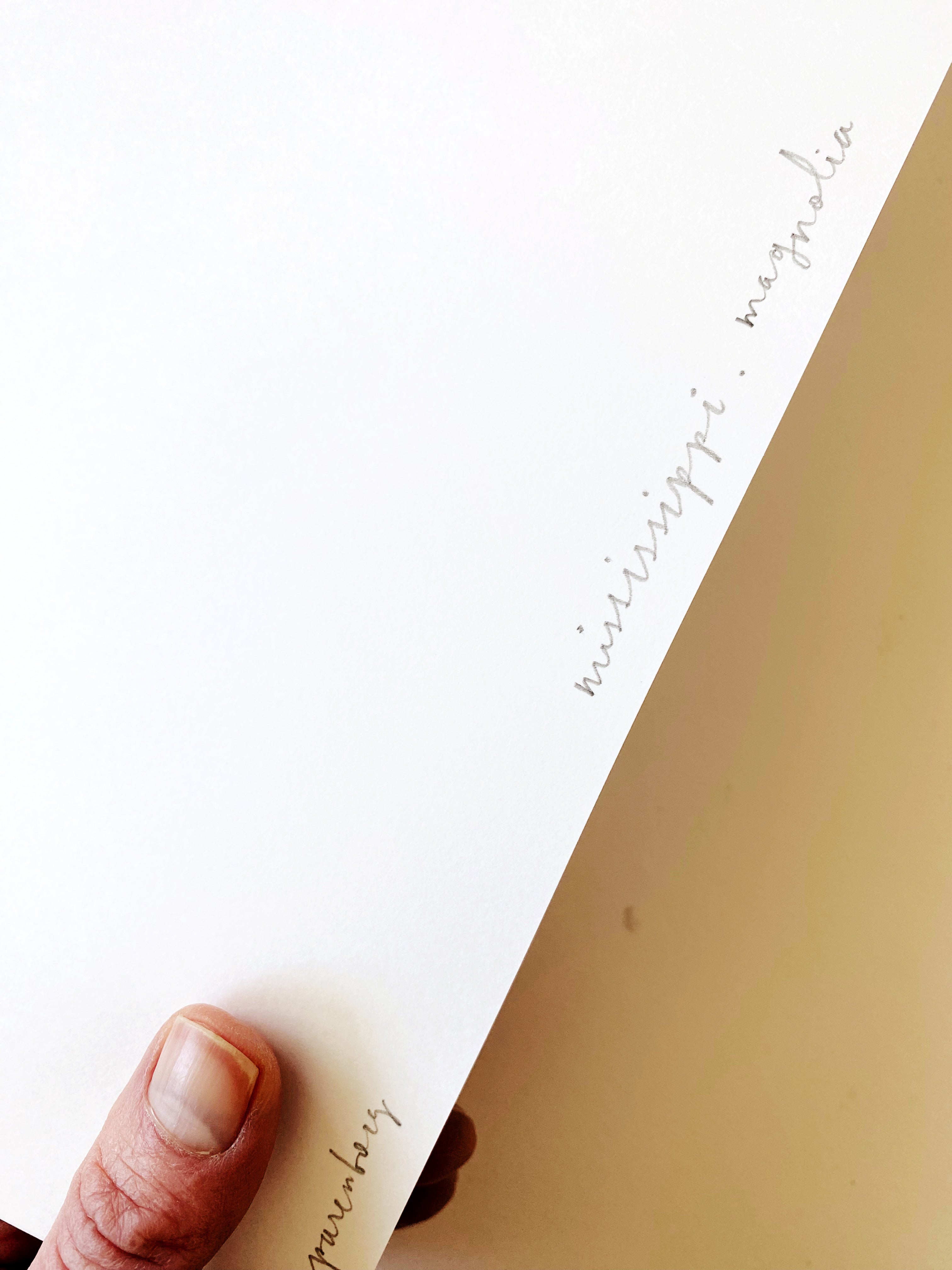 MISSISSIPPI State Flower Map: Magnolia: PRINT