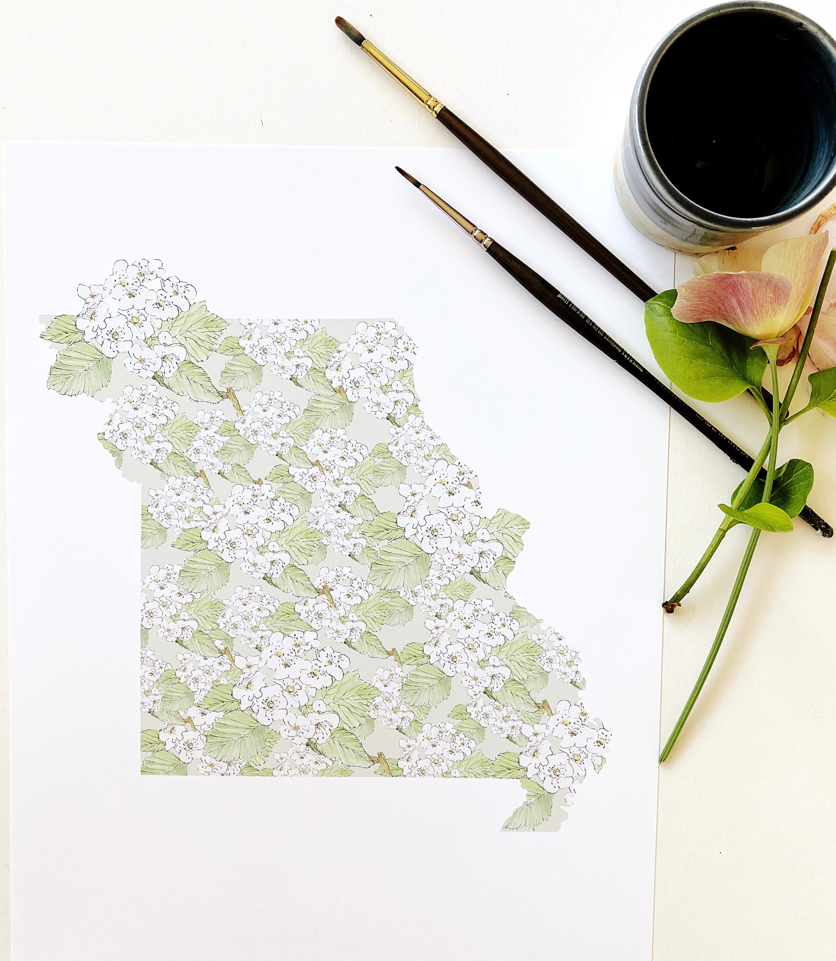 MISSOURI State Flower Map: Hawthorne: PRINT