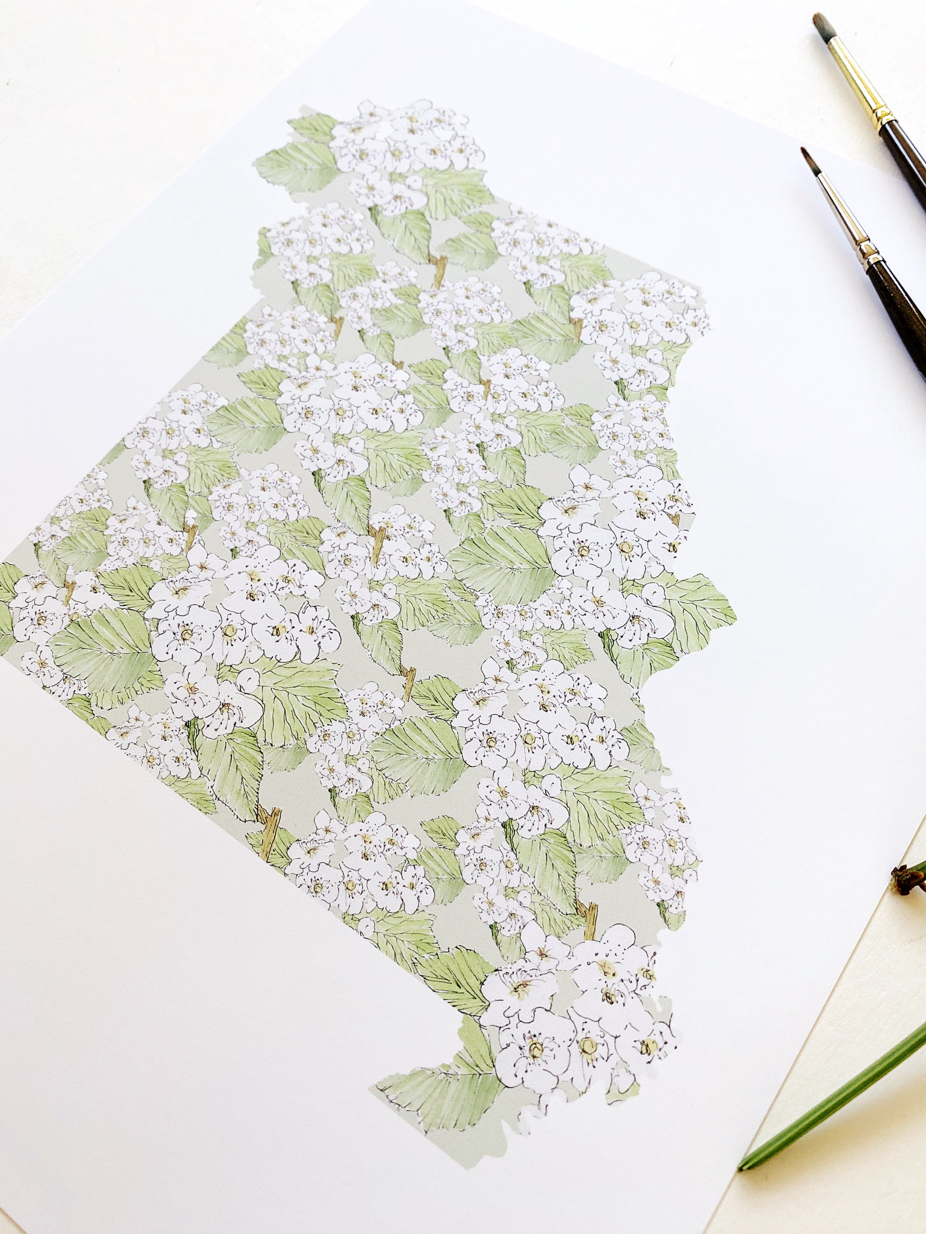MISSOURI State Flower Map: Hawthorne: PRINT