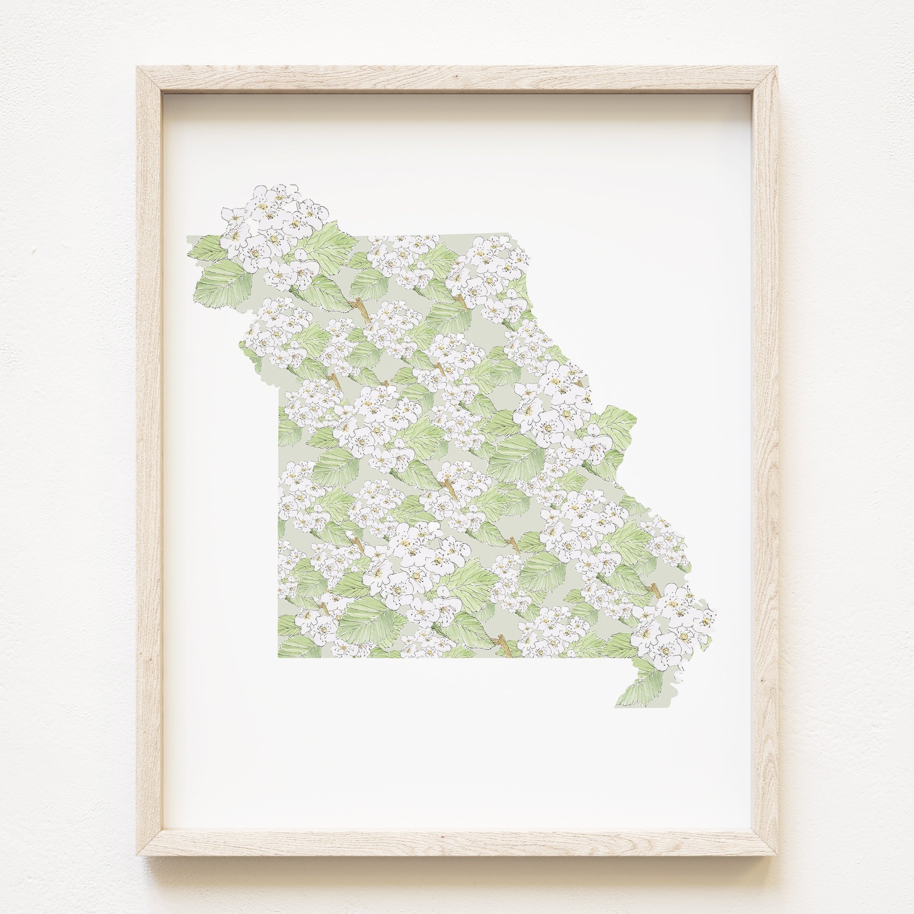 MISSOURI State Flower Map: Hawthorne: PRINT