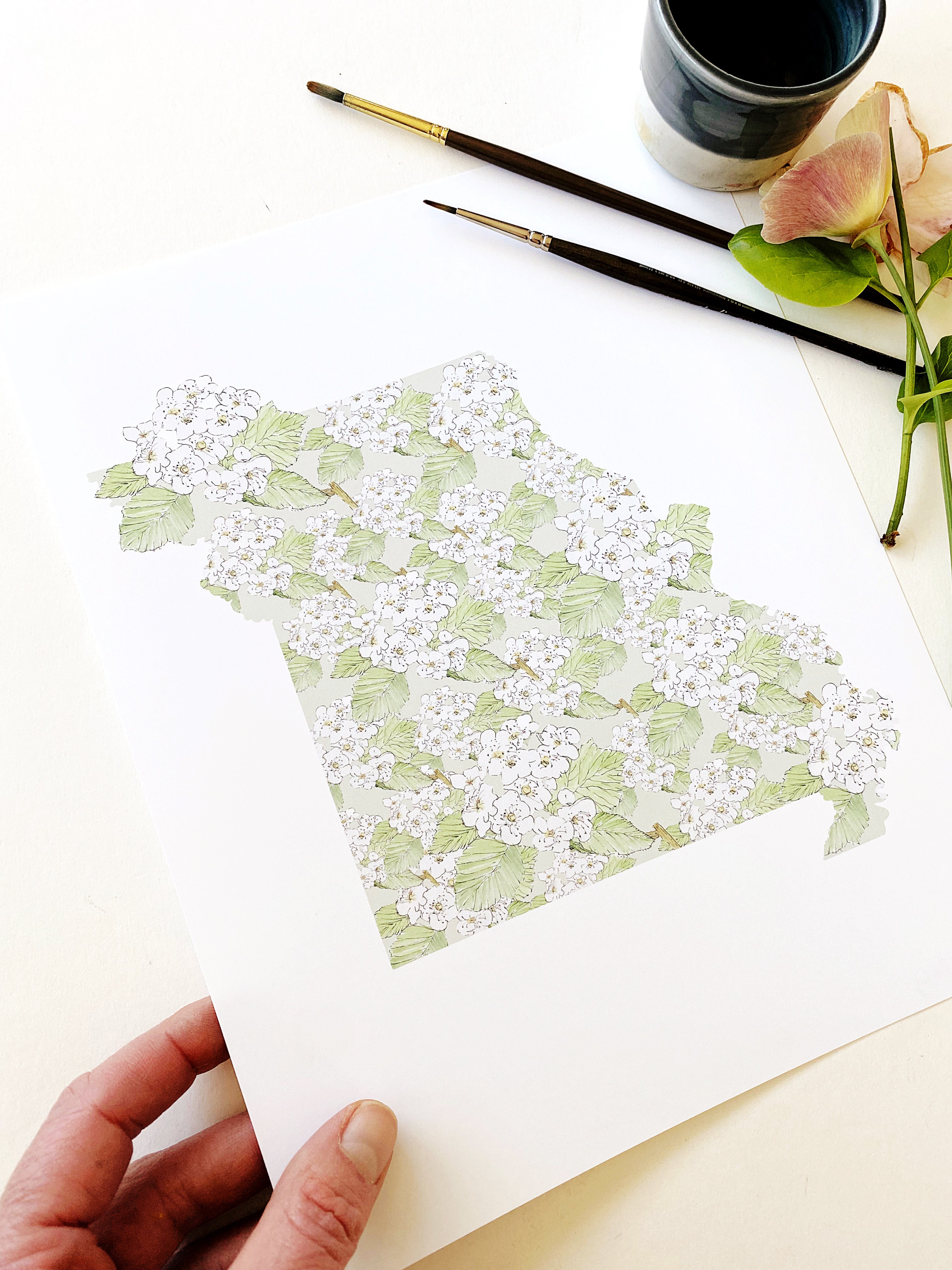 MISSOURI State Flower Map: Hawthorne: PRINT