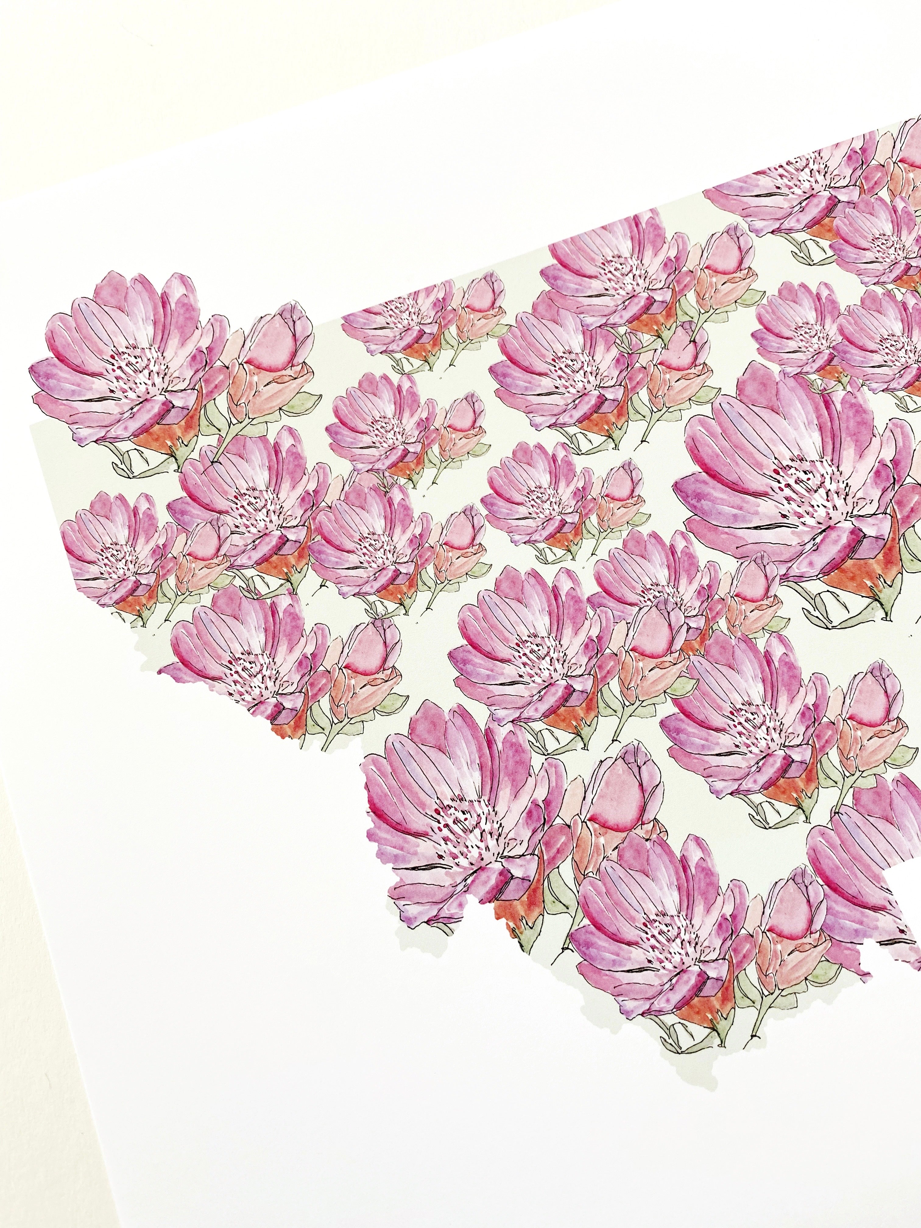 MONTANA State Flower Map: Bitterroot: PRINT