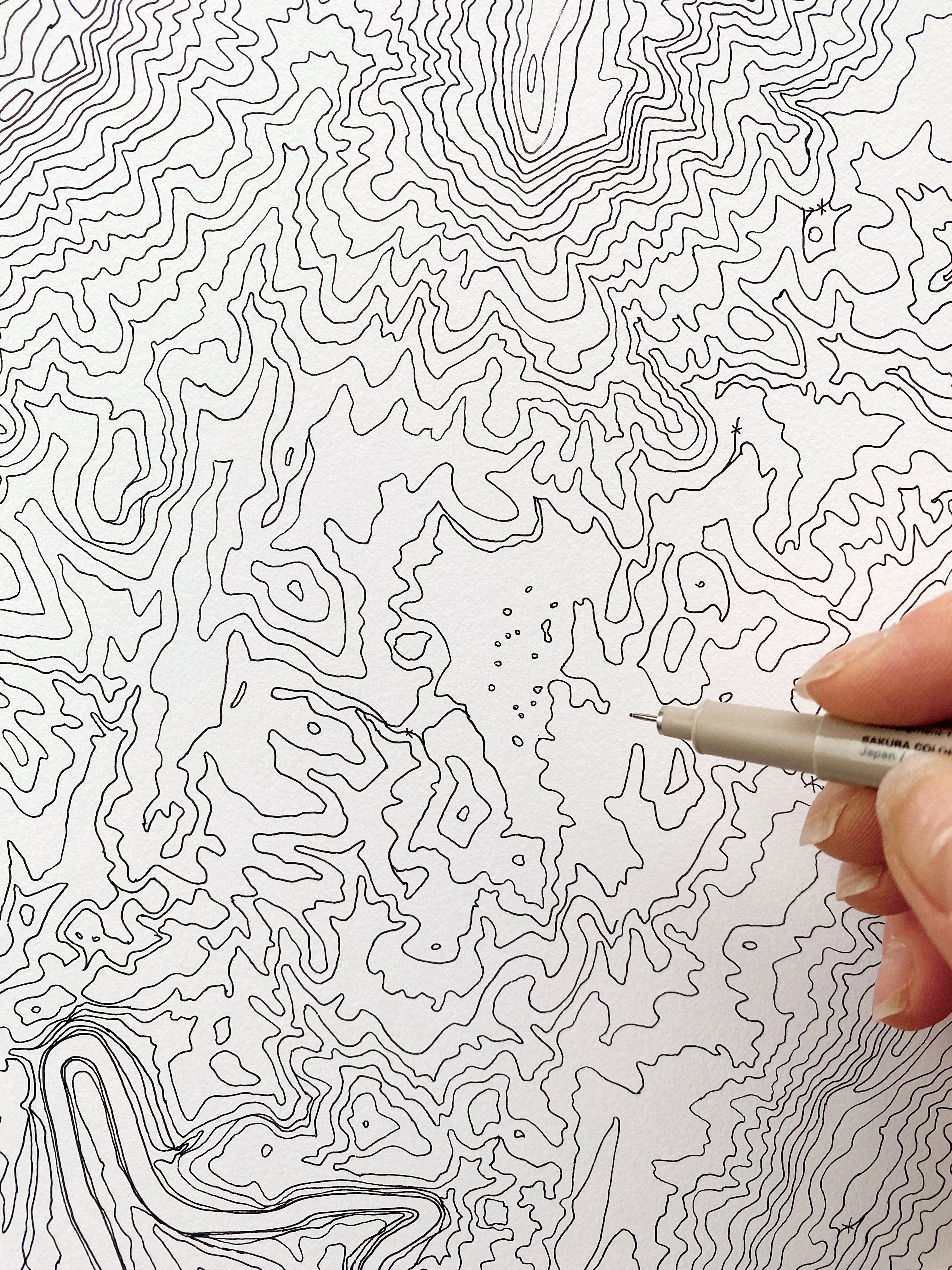 Mountain Lake Southwest VIRGINIA Topographical Map: ORIGINAL DRAWING