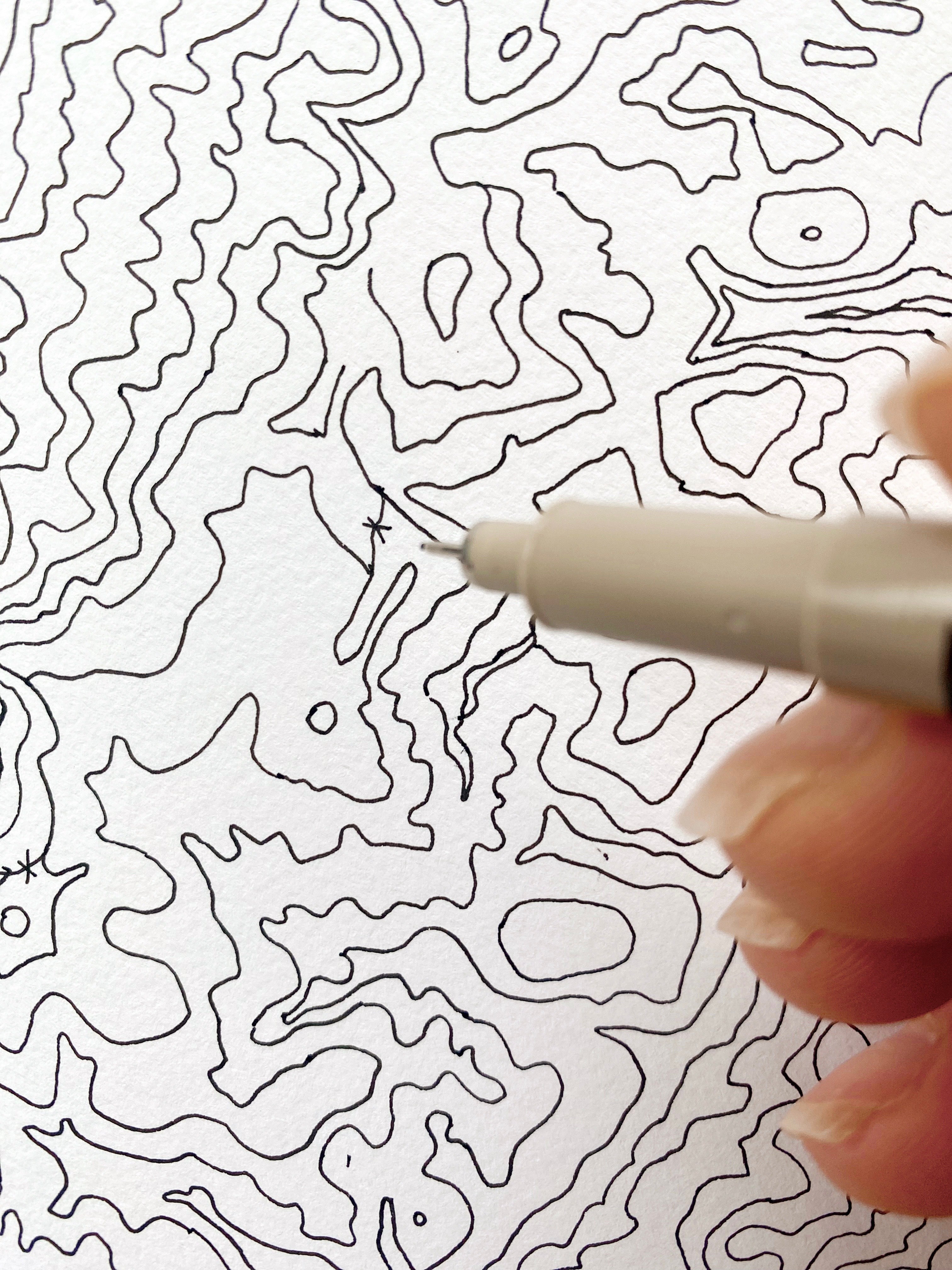 Mountain Lake Southwest VIRGINIA Topographical Map: ORIGINAL DRAWING