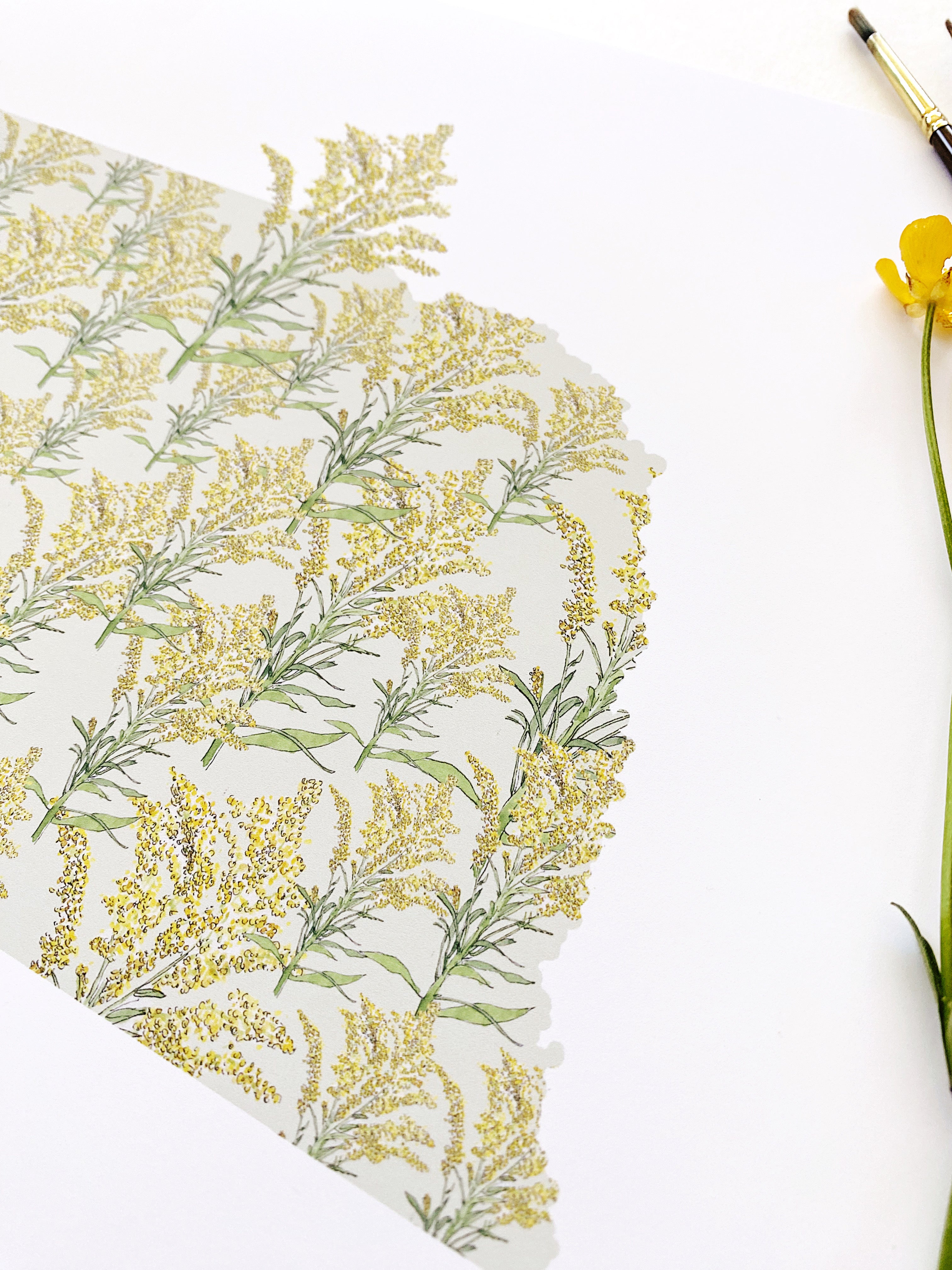 NEBRASKA State Flower Map: Goldenrod: PRINT