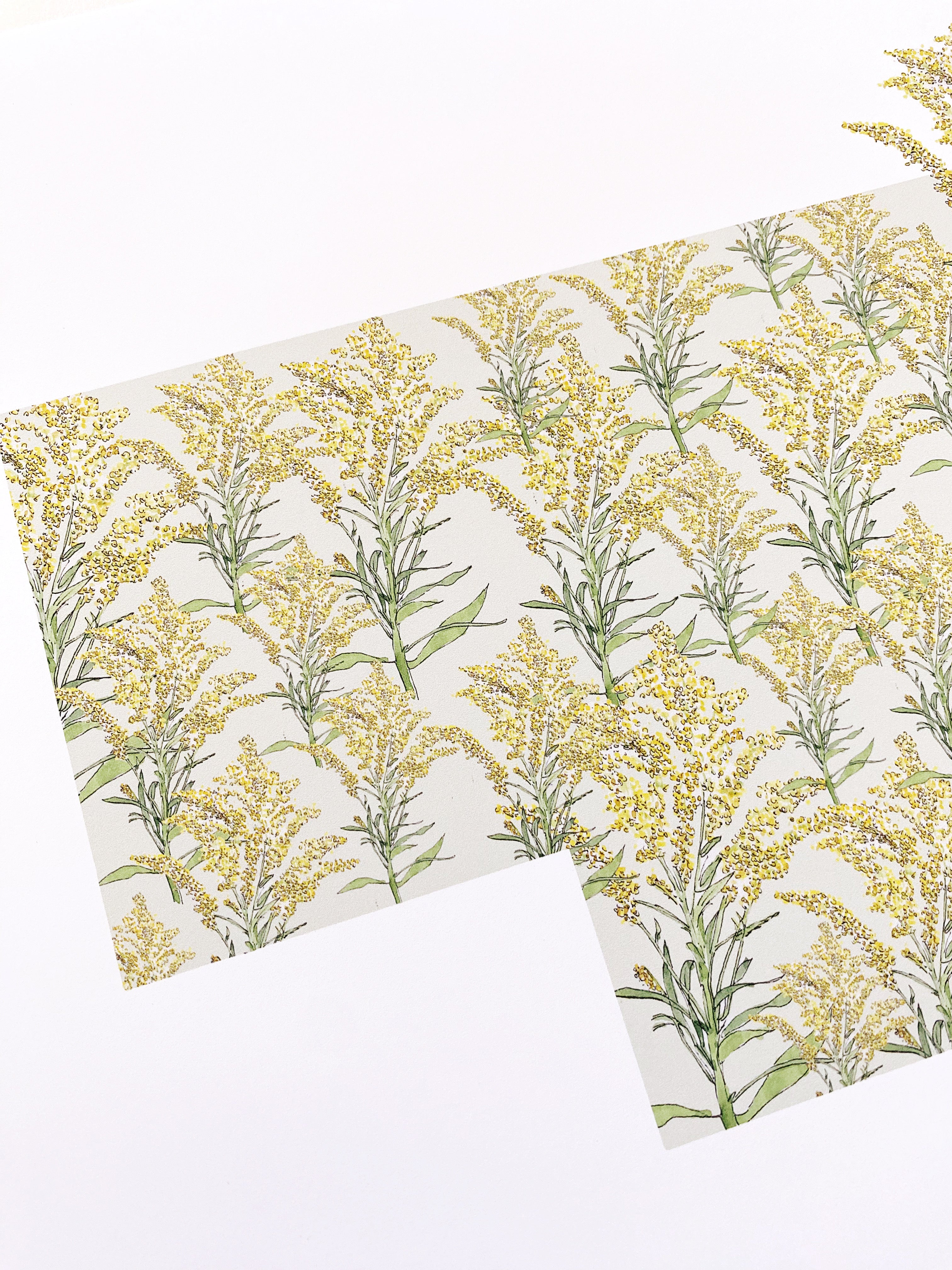 NEBRASKA State Flower Map: Goldenrod: PRINT