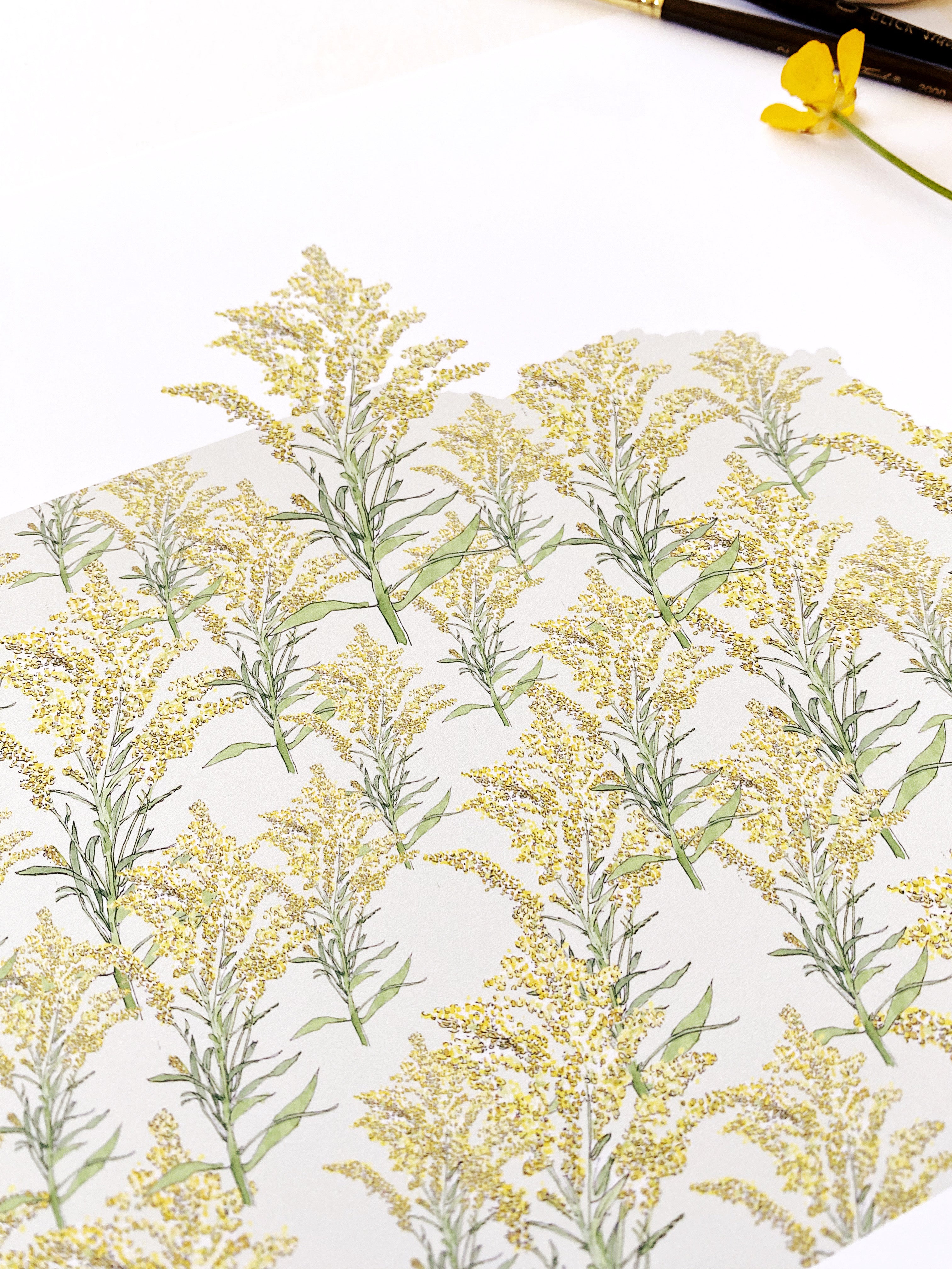 NEBRASKA State Flower Map: Goldenrod: PRINT