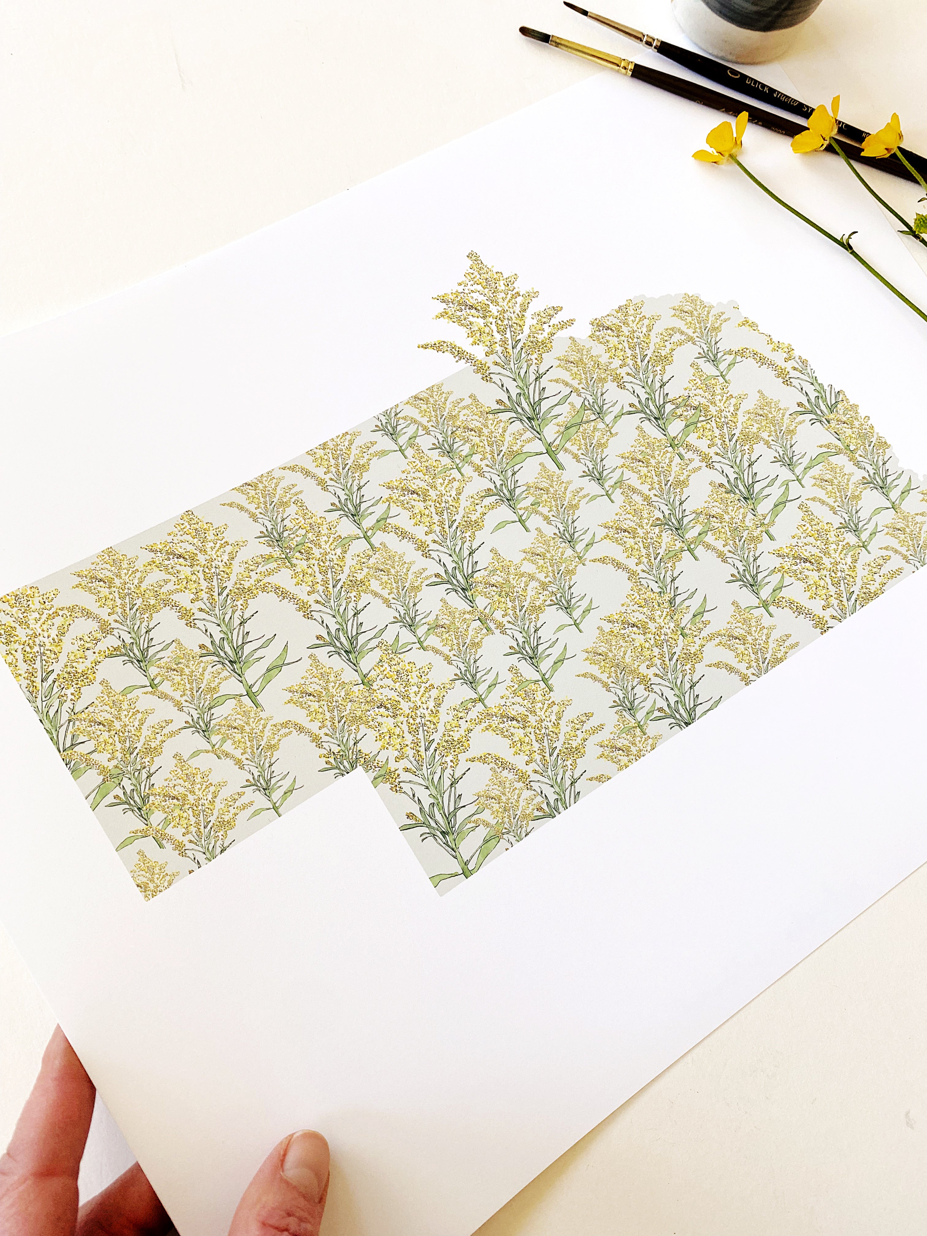 NEBRASKA State Flower Map: Goldenrod: PRINT