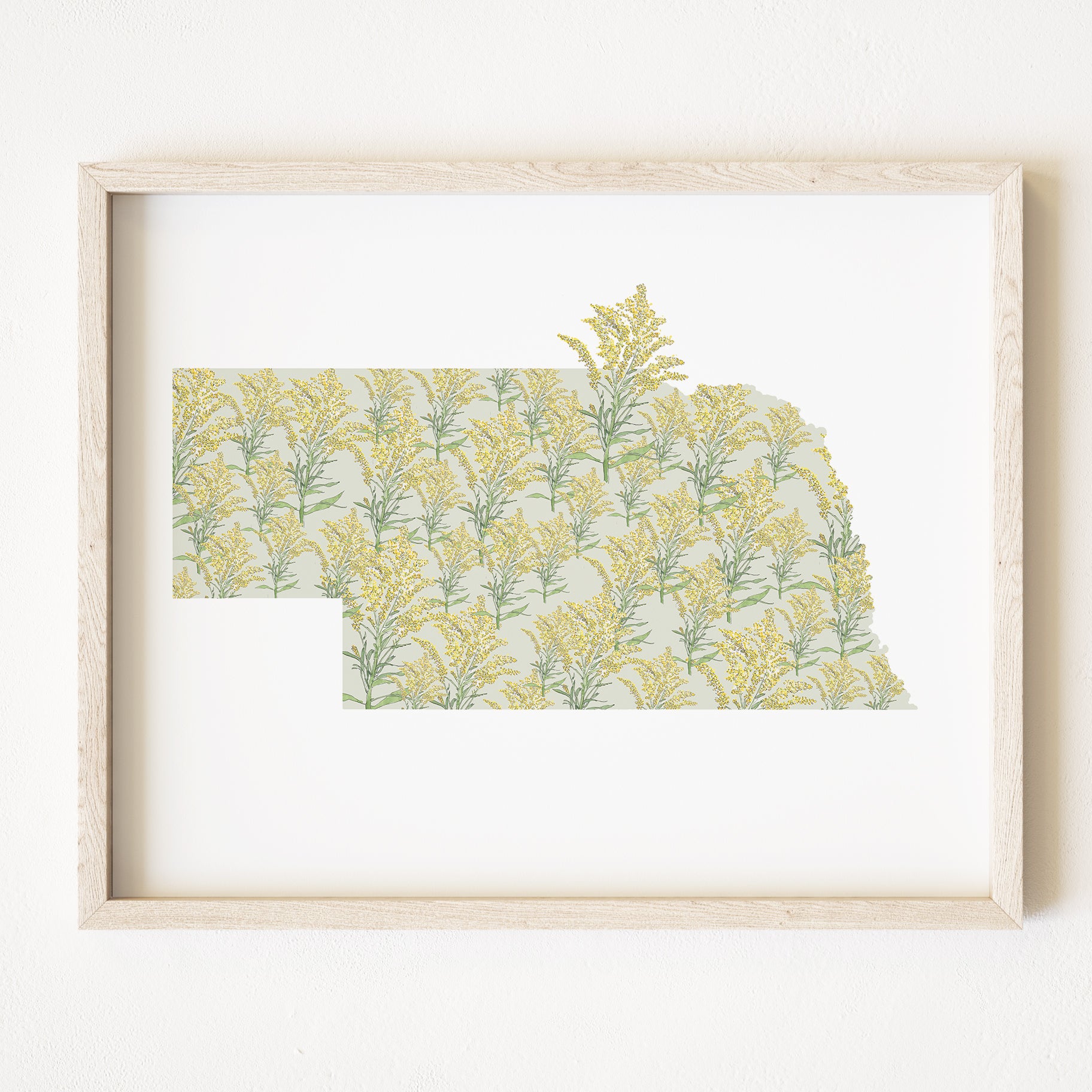 NEBRASKA State Flower Map: Goldenrod: PRINT