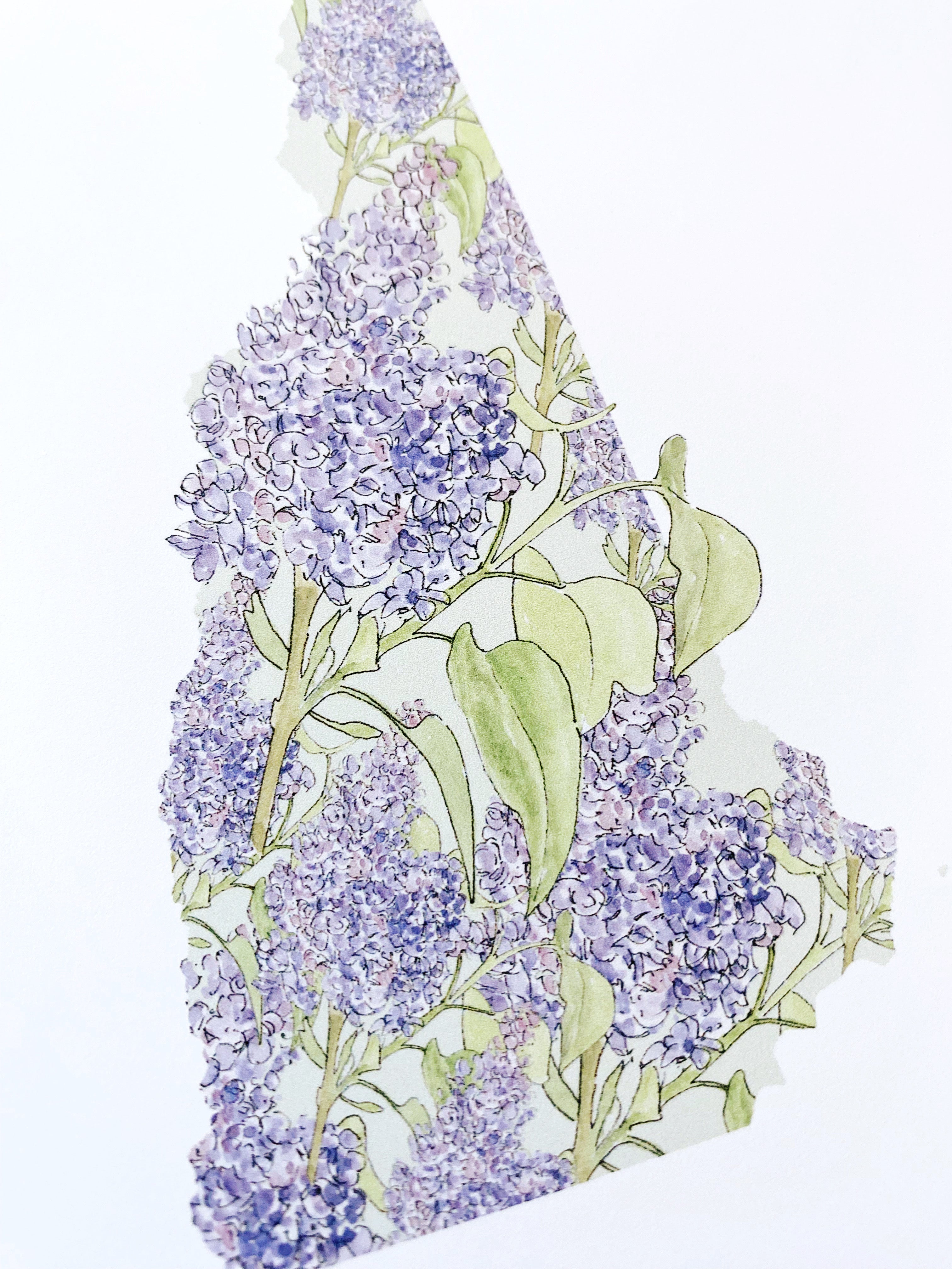 NEW HAMPSHIRE State Flower Map: Purple Lilac: PRINT