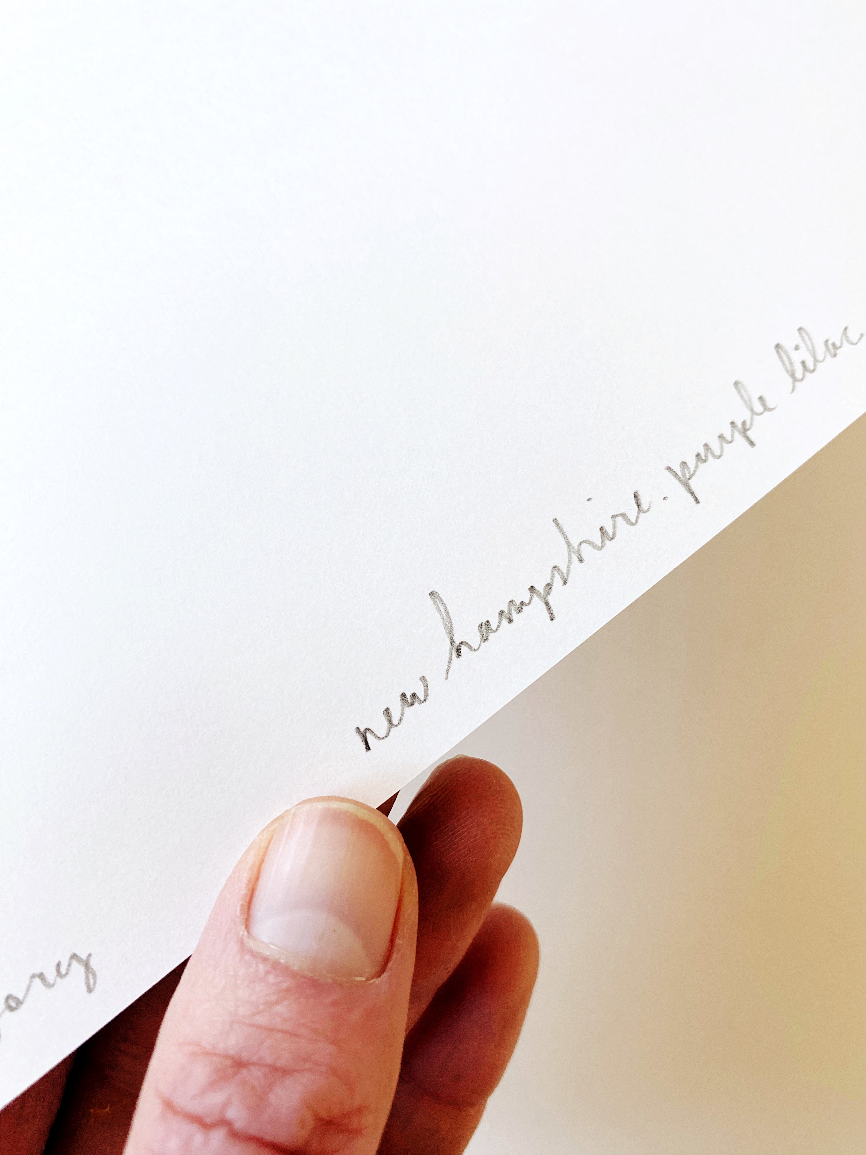 NEW HAMPSHIRE State Flower Map: Purple Lilac: PRINT