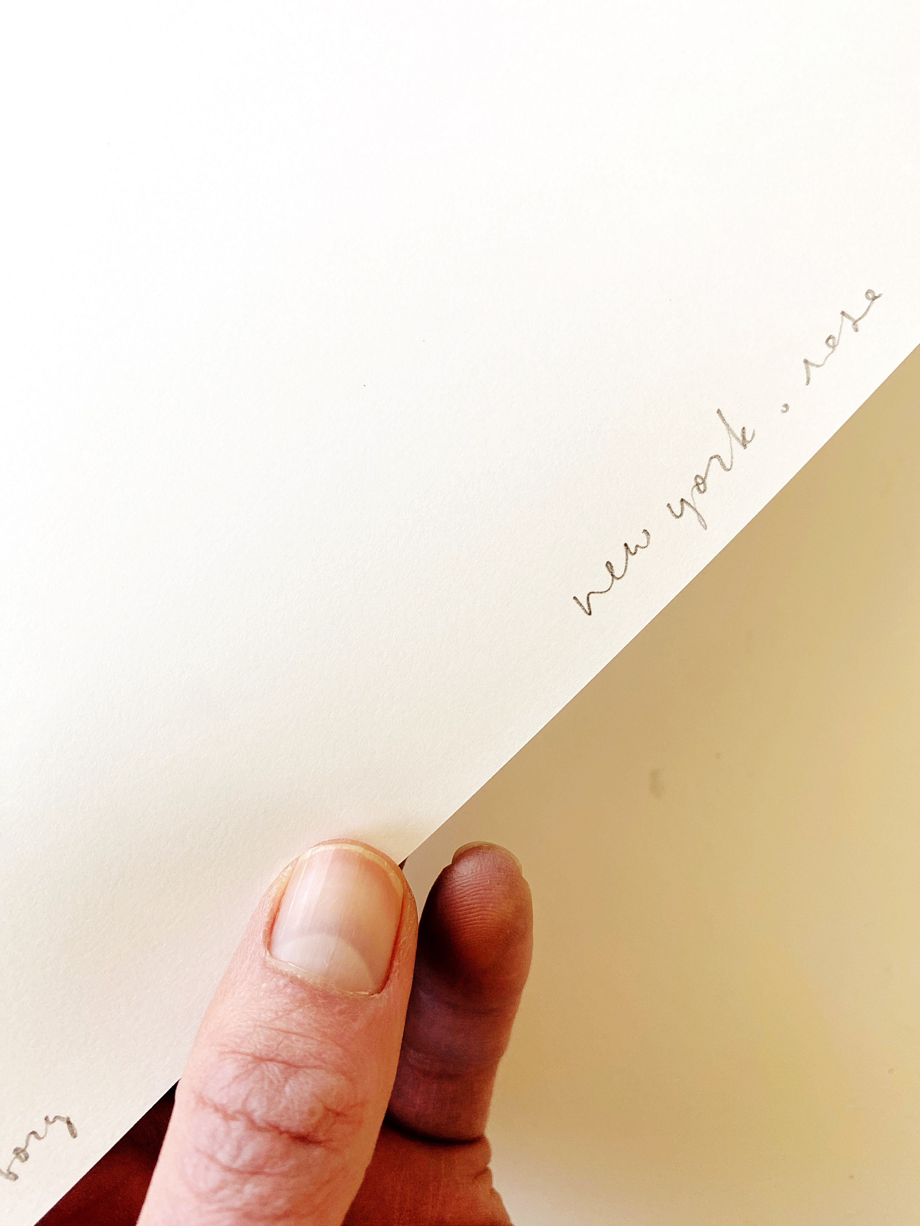 NEW YORK State Flower Map: Rose: PRINT