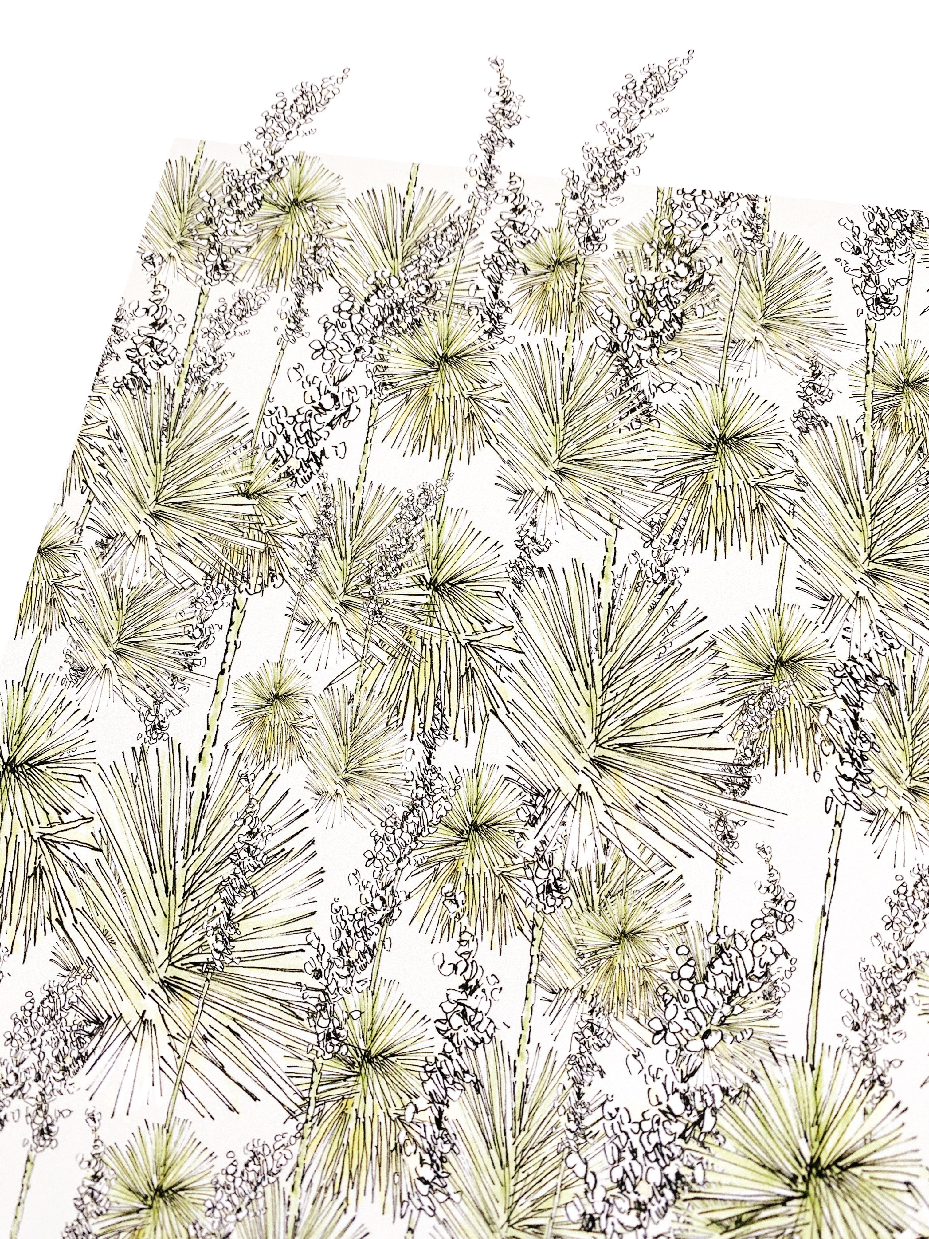 NEW MEXICO State Flower Map: Yucca Flower: PRINT