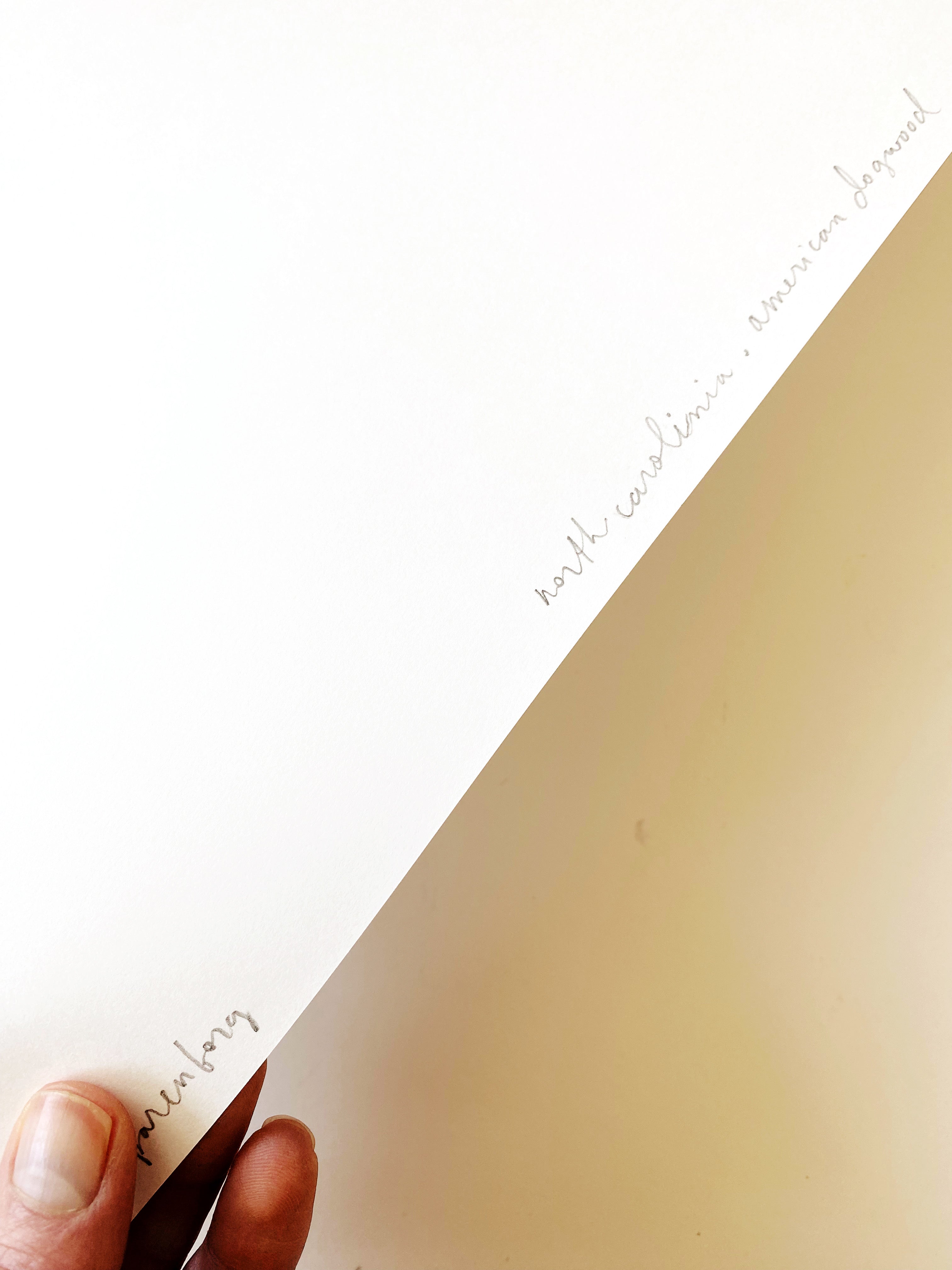 NORTH CAROLINA State Flower Map: Flowering Dogwood: PRINT