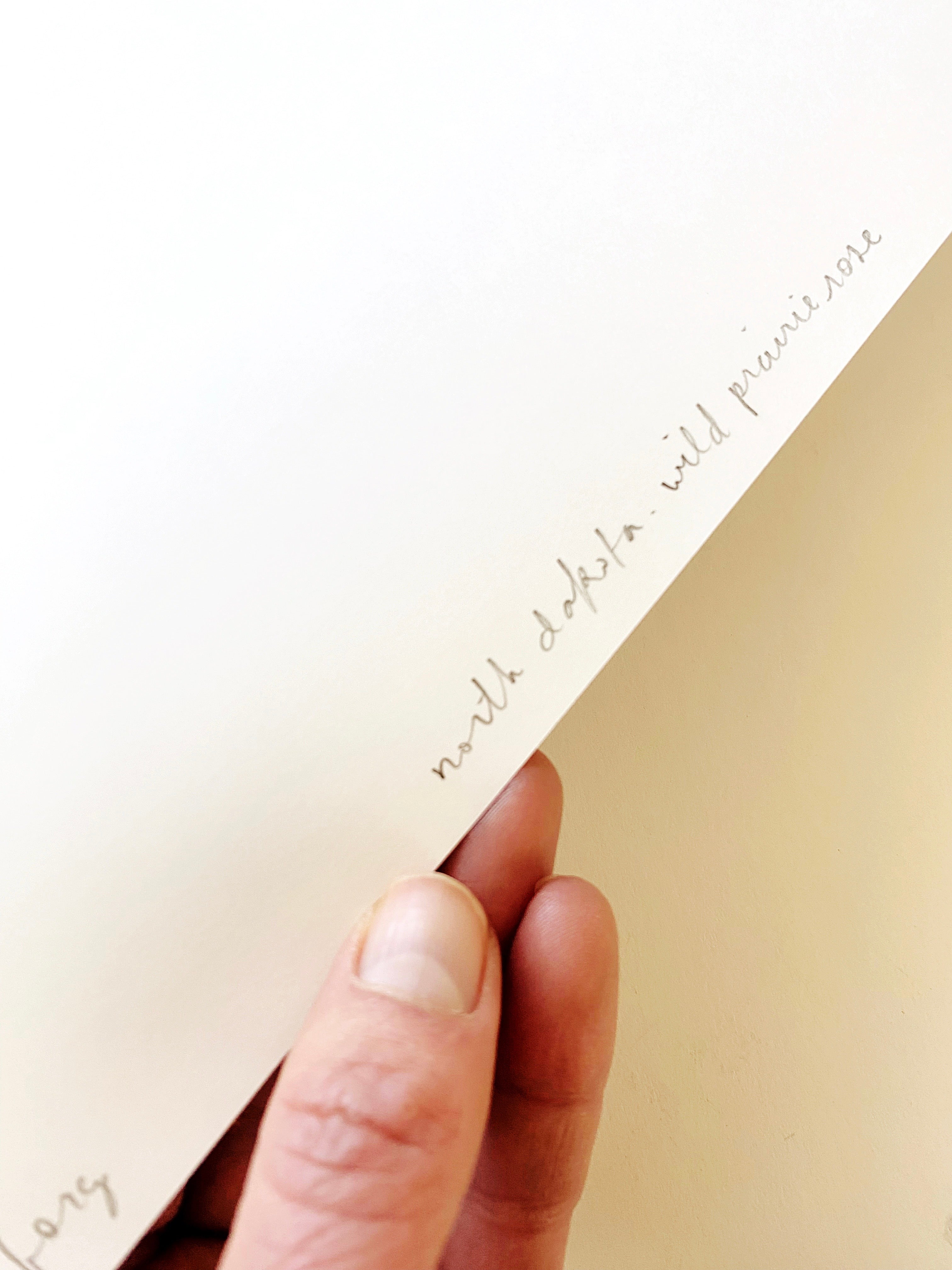 NORTH DAKOTA State Flower Map: Wild Prairie Rose: PRINT