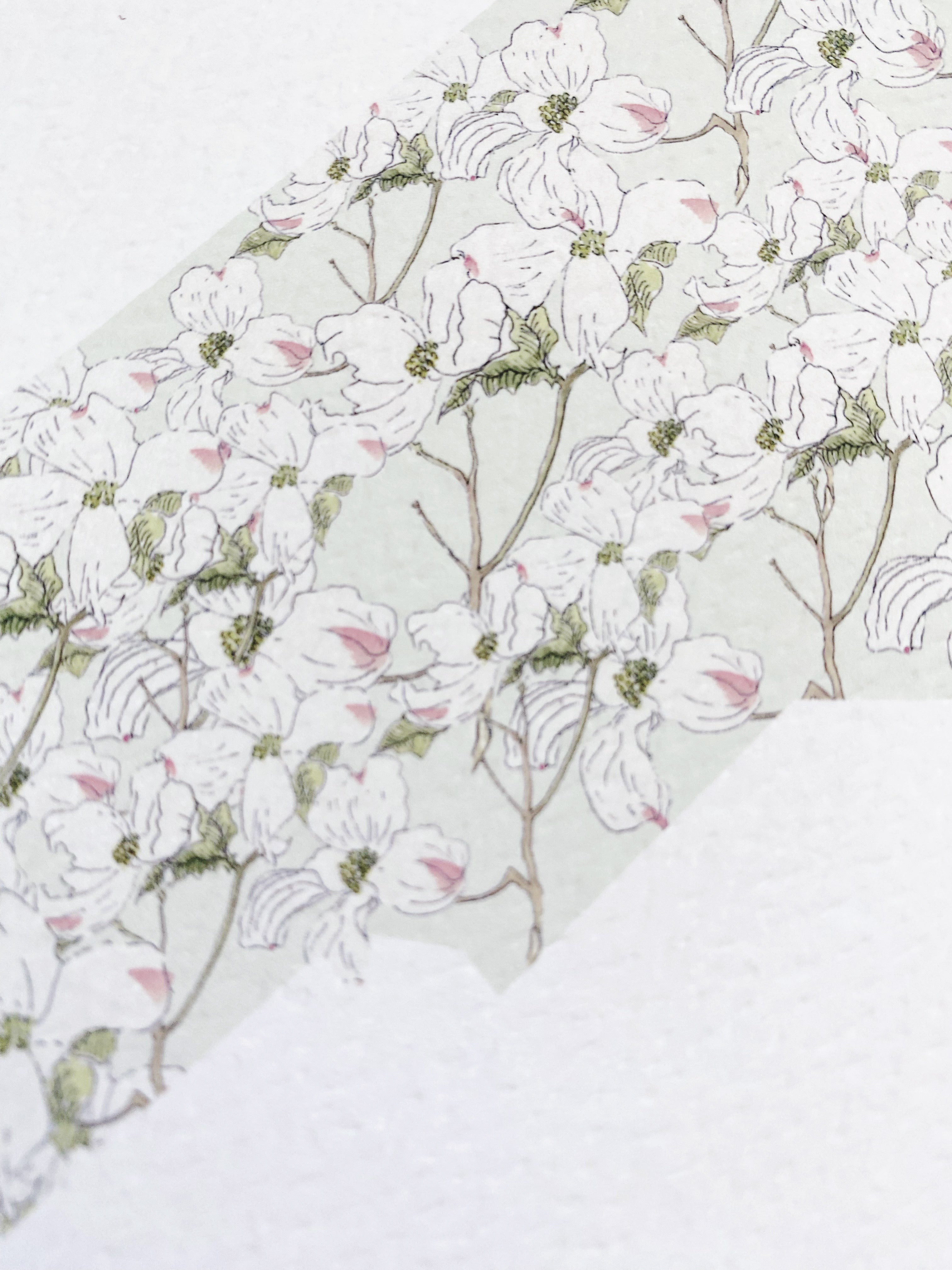 NORTH CAROLINA State Flower Map: Flowering Dogwood: PRINT