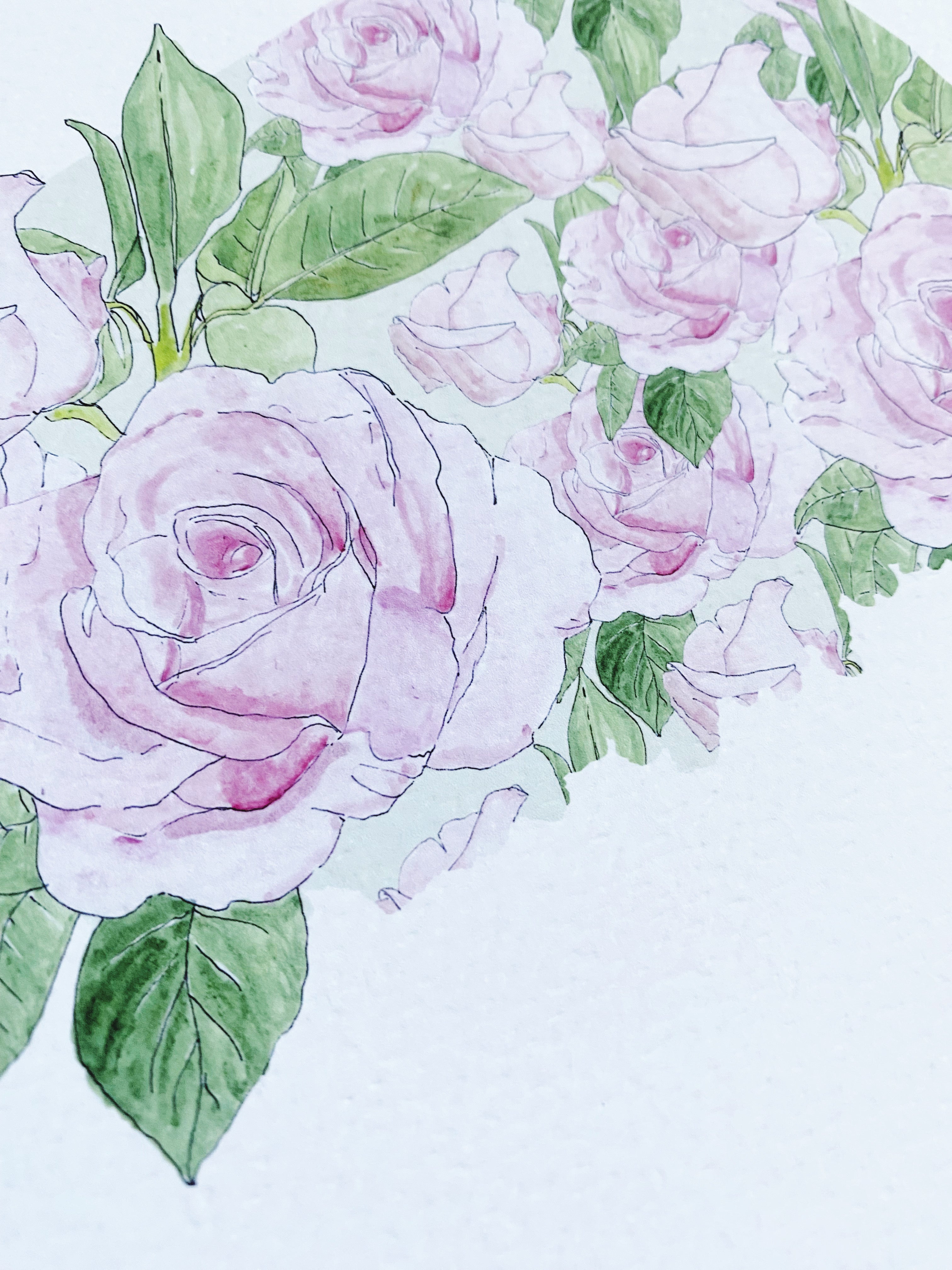 OKLAHOMA State Flower Map: Oklahoma Rose: PRINT