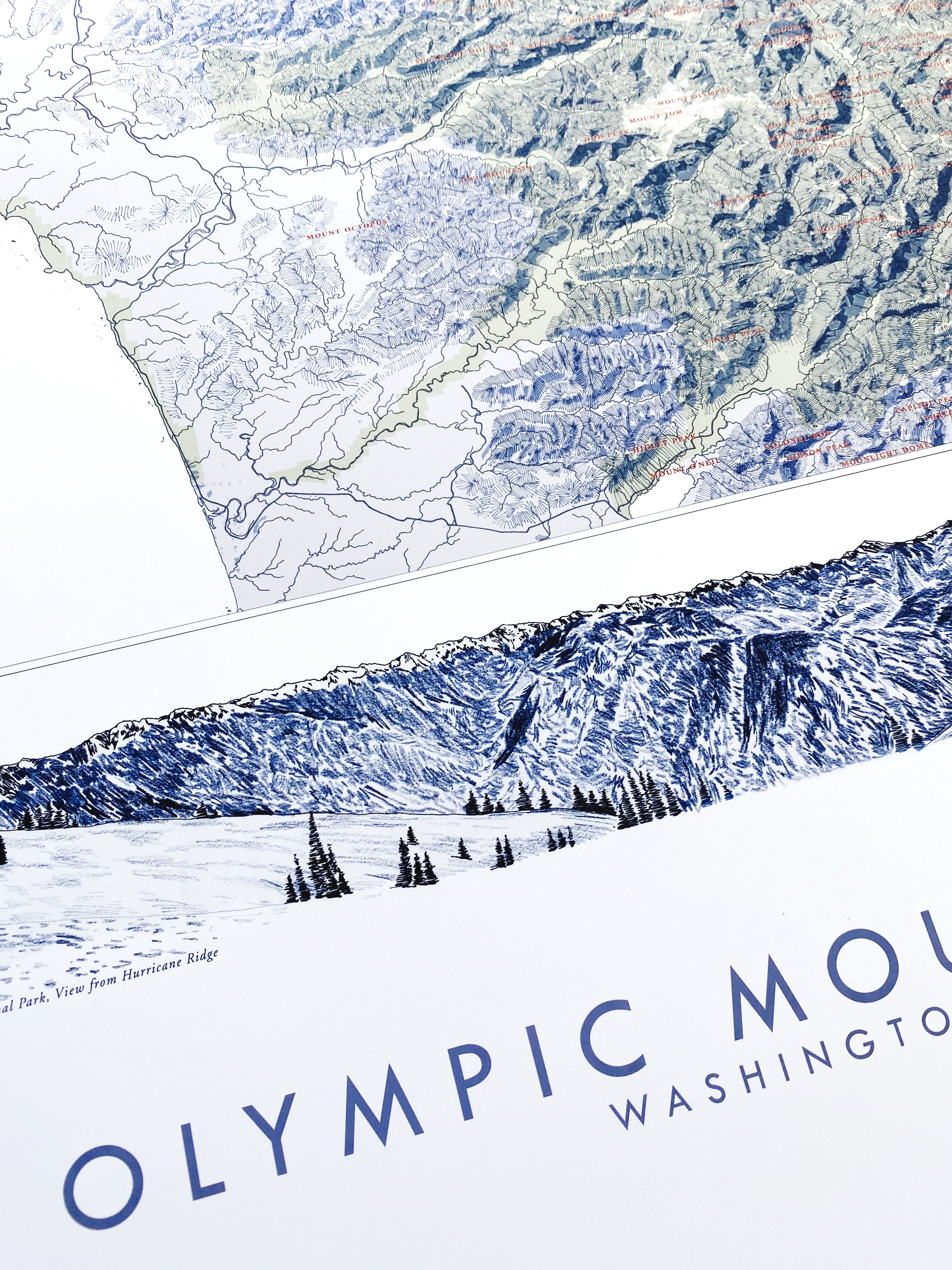 OLYMPIC MOUNTAINS Washington Topographical Mountain Map: PRINT