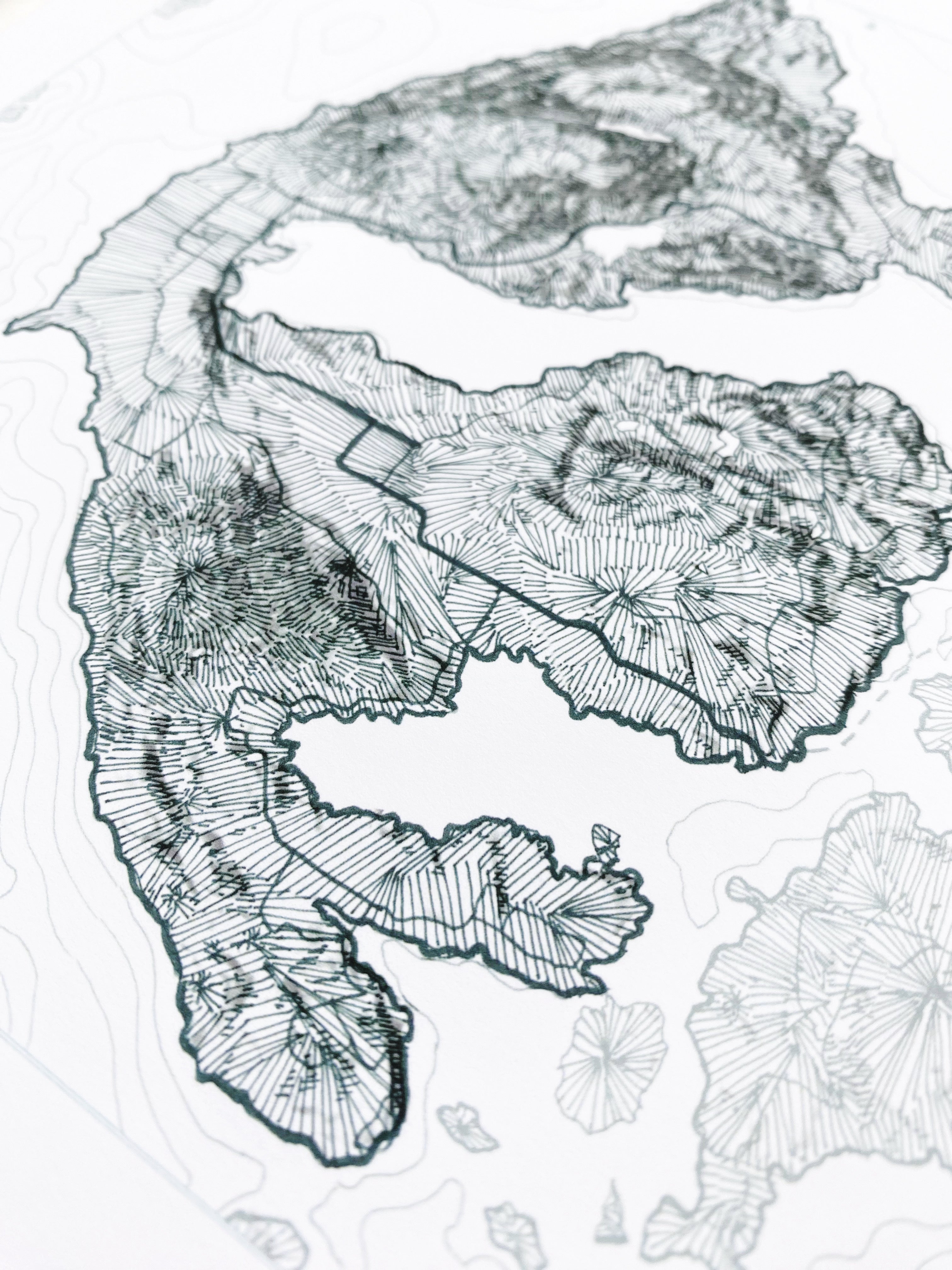 ORCAS ISLAND San Juan Islands WA Topographic + Bathymetric Map Drawing: PRINT