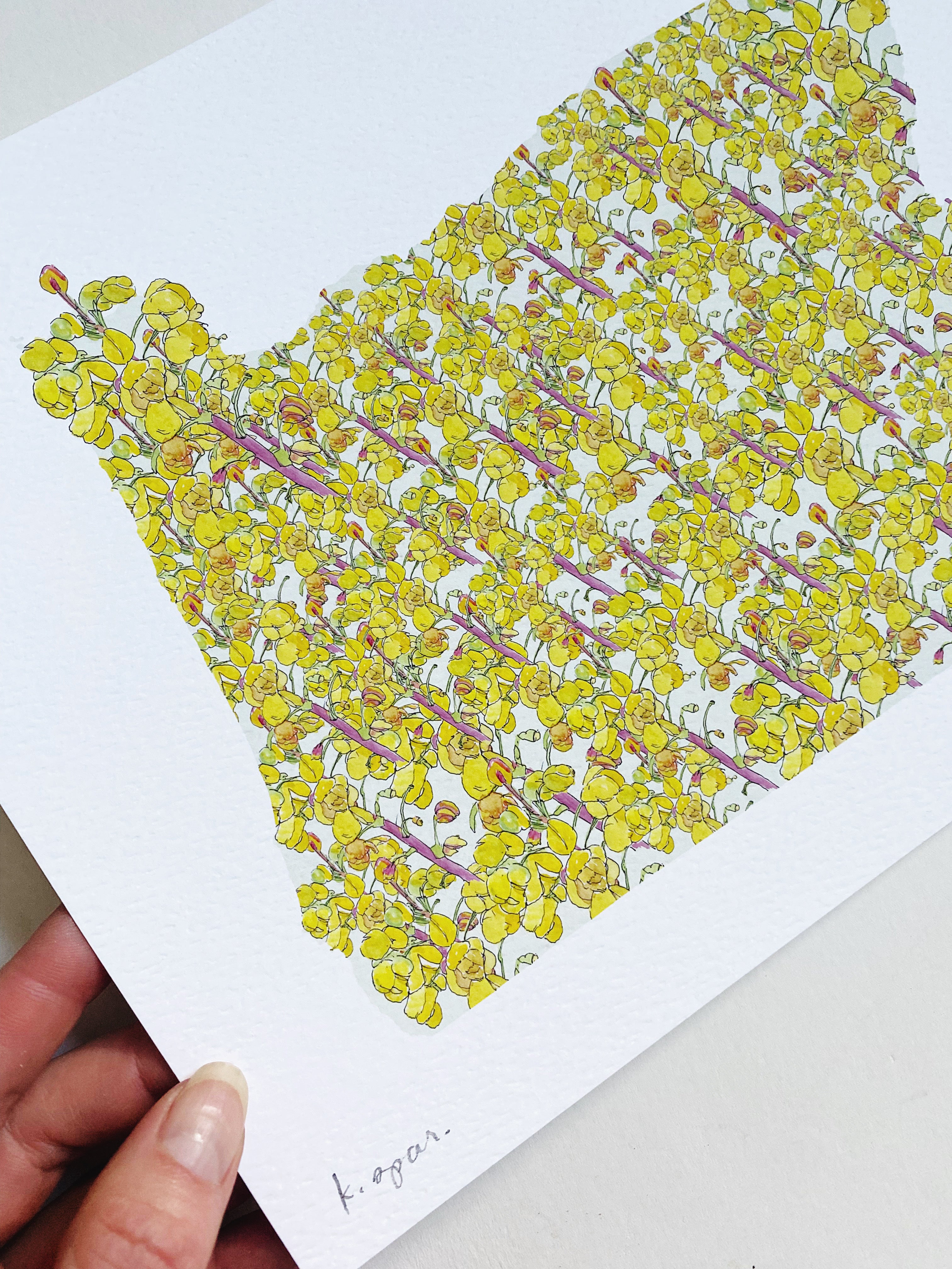 OREGON State Flower Map: Oregon Grape: PRINT